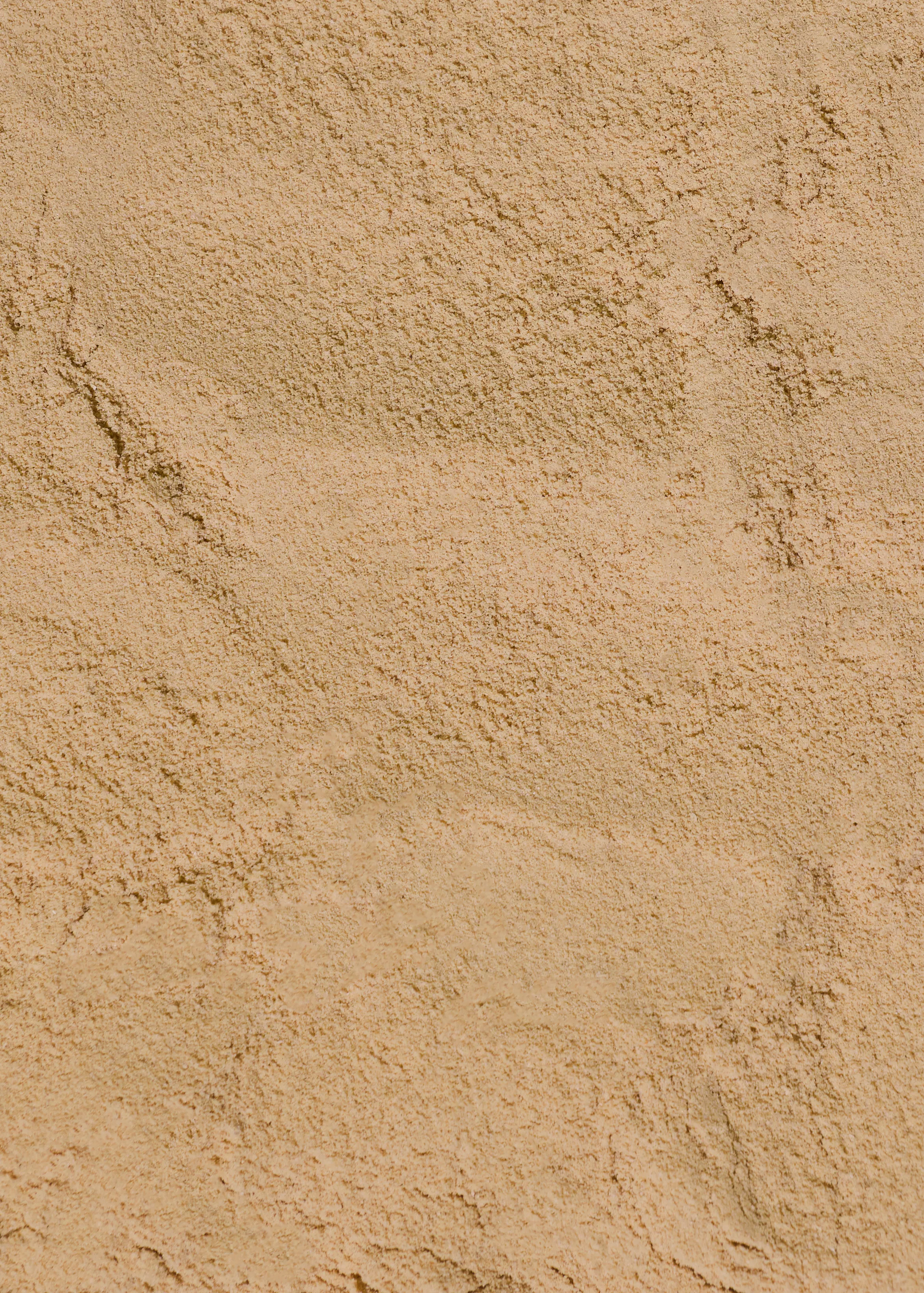 Protéines en poudre vegan à la noisette 1 kg hover