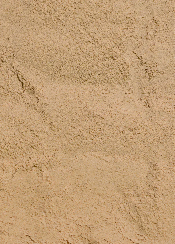 Protéines en poudre vegan à la noisette 1 kg hover