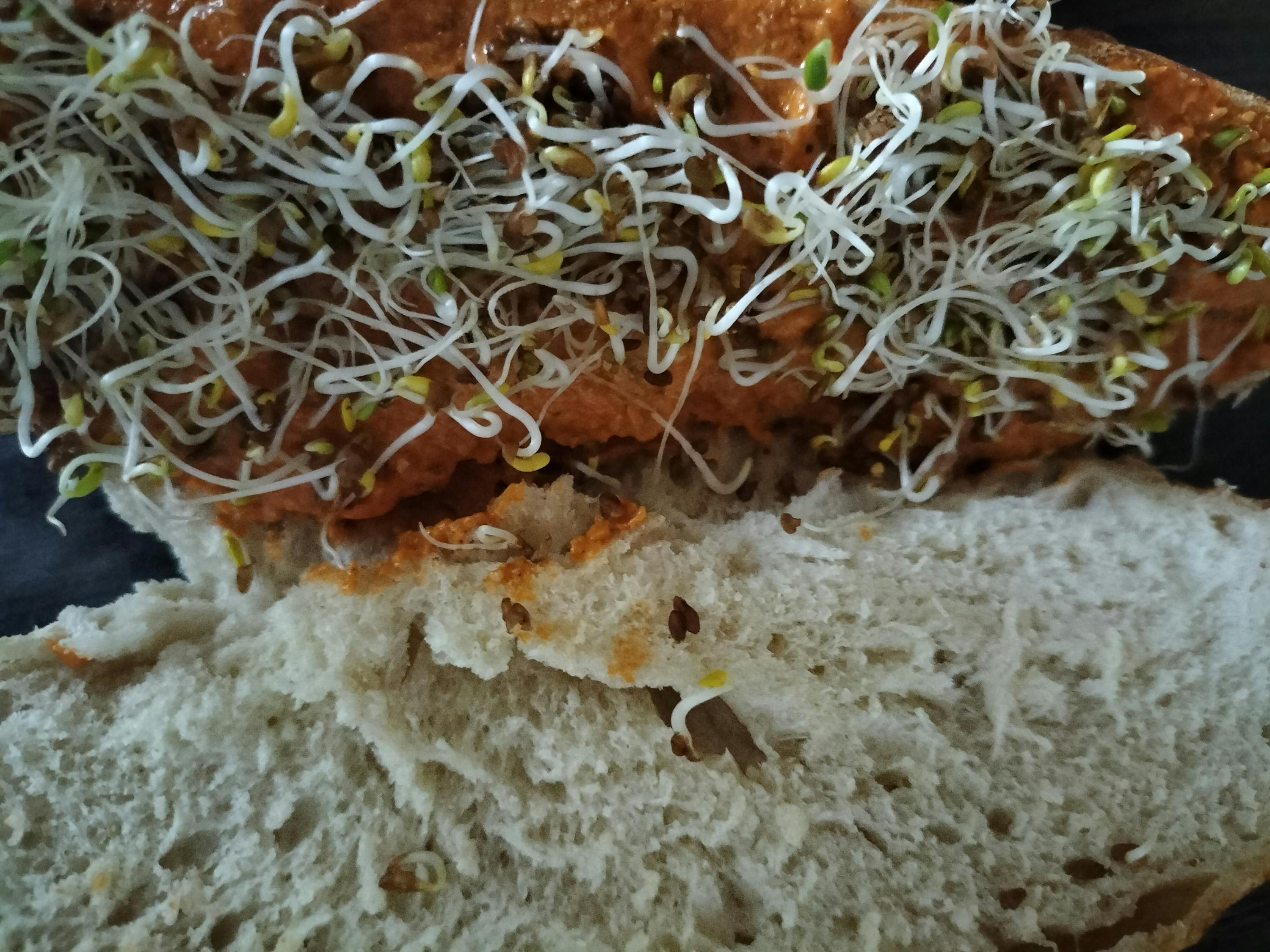 a close up of a piece of bread with sprouts on top