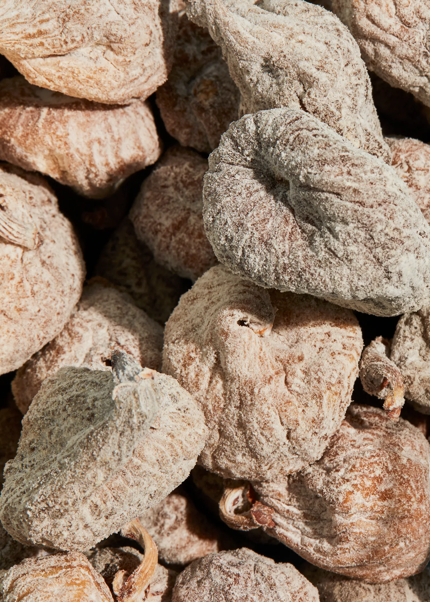 a close up of a pile of dried figs with a gray crust