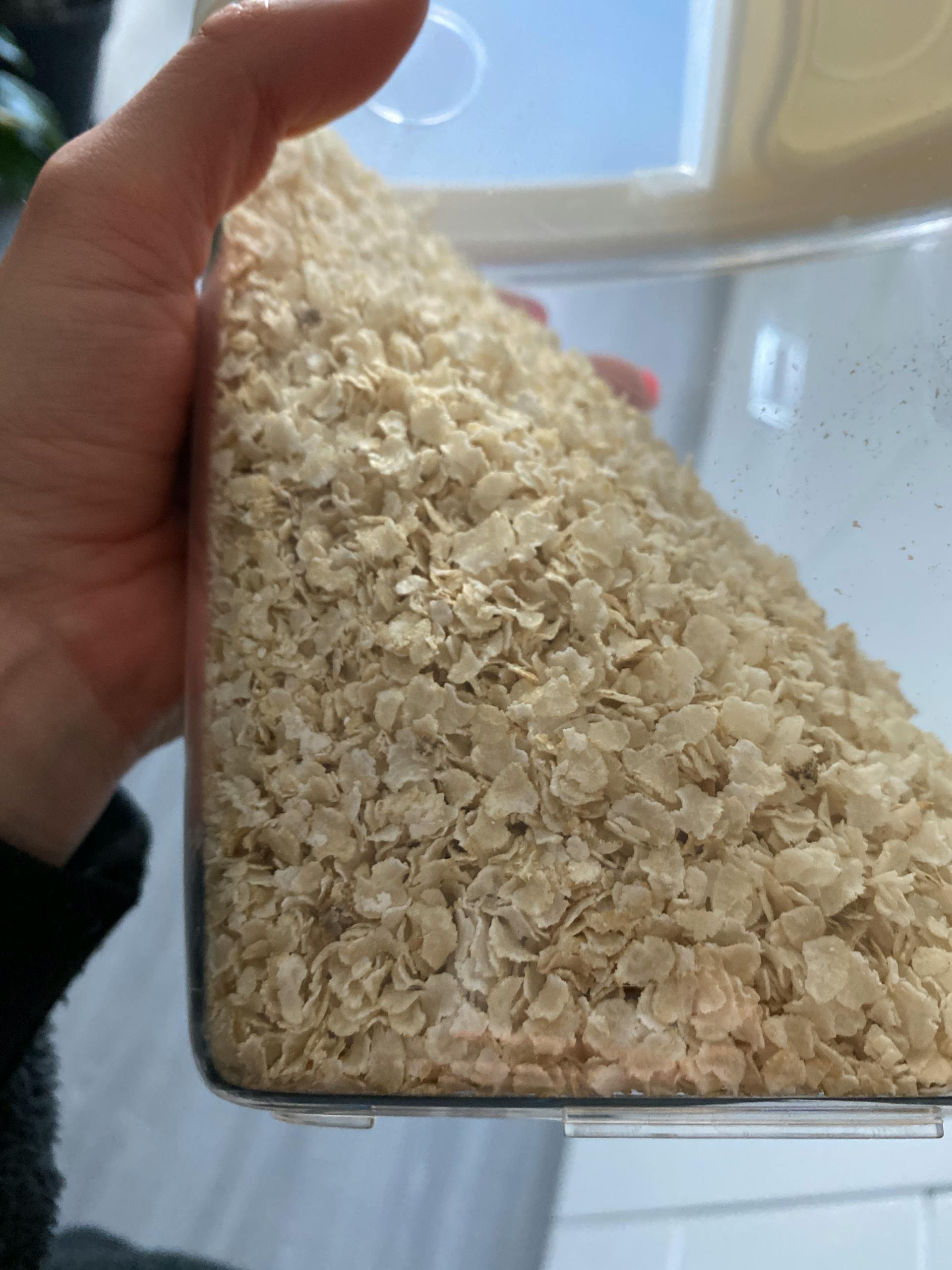 Flocons de riz bio 1 kg - Préparation rapide - Vegan