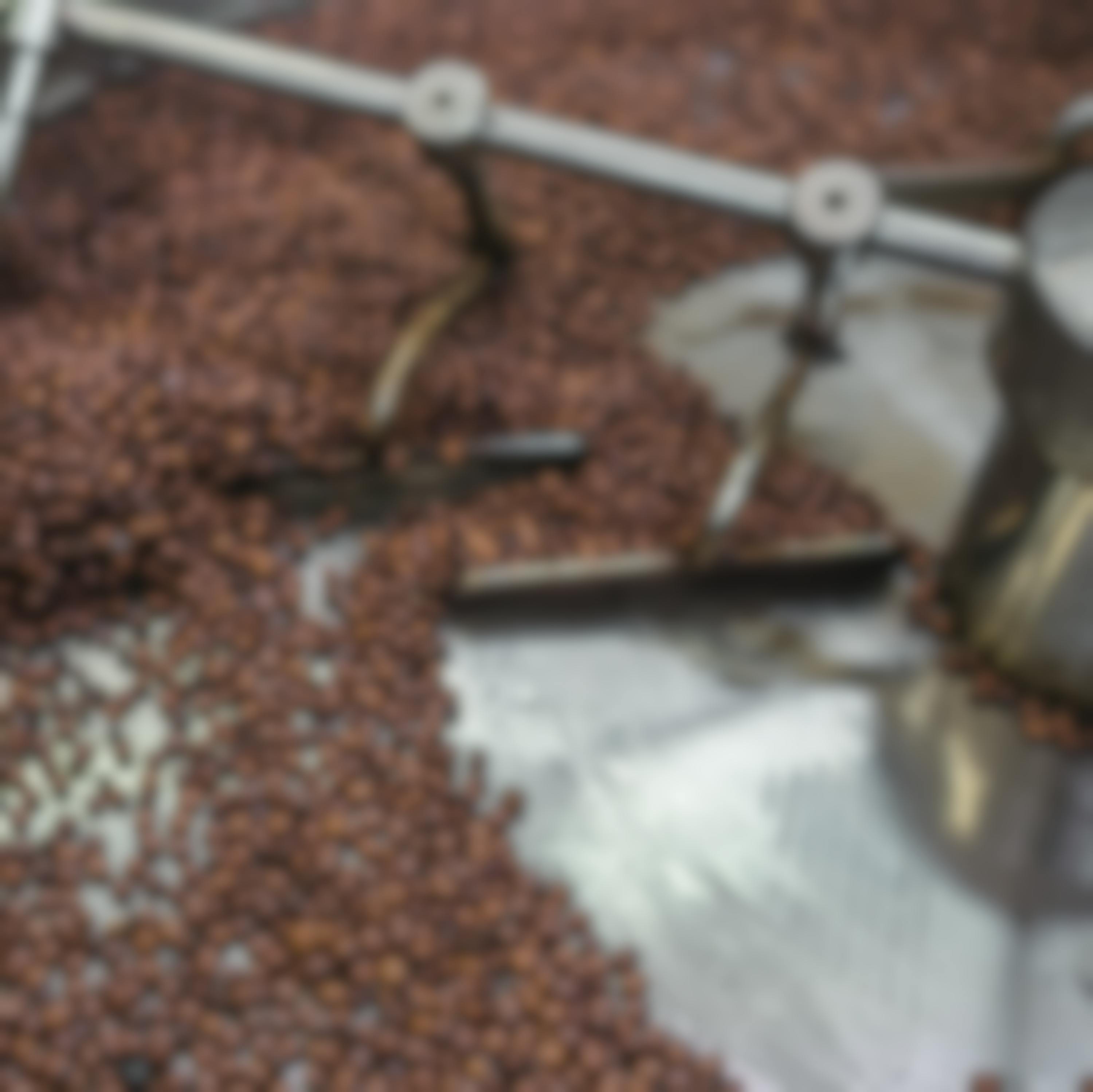 Die Bio Lupinenkaffee Herstellung Schritt für Schritt