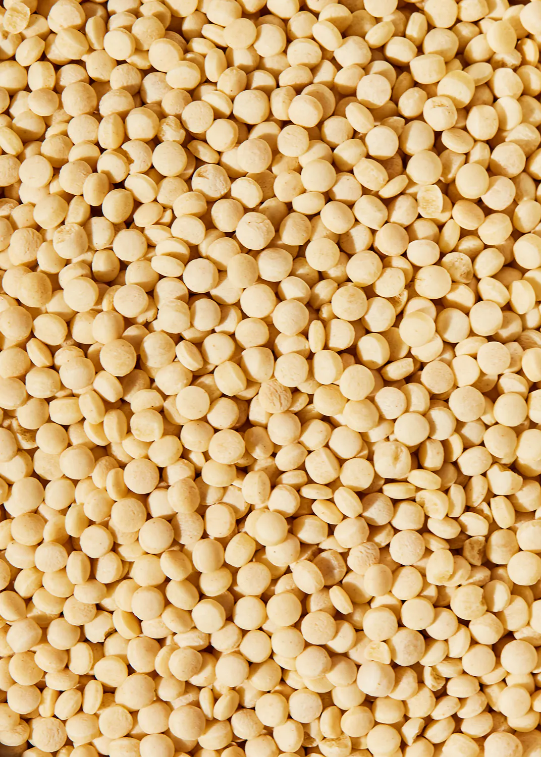a close up of a pile of white beans
