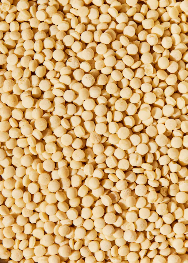 a close up of a pile of white beans