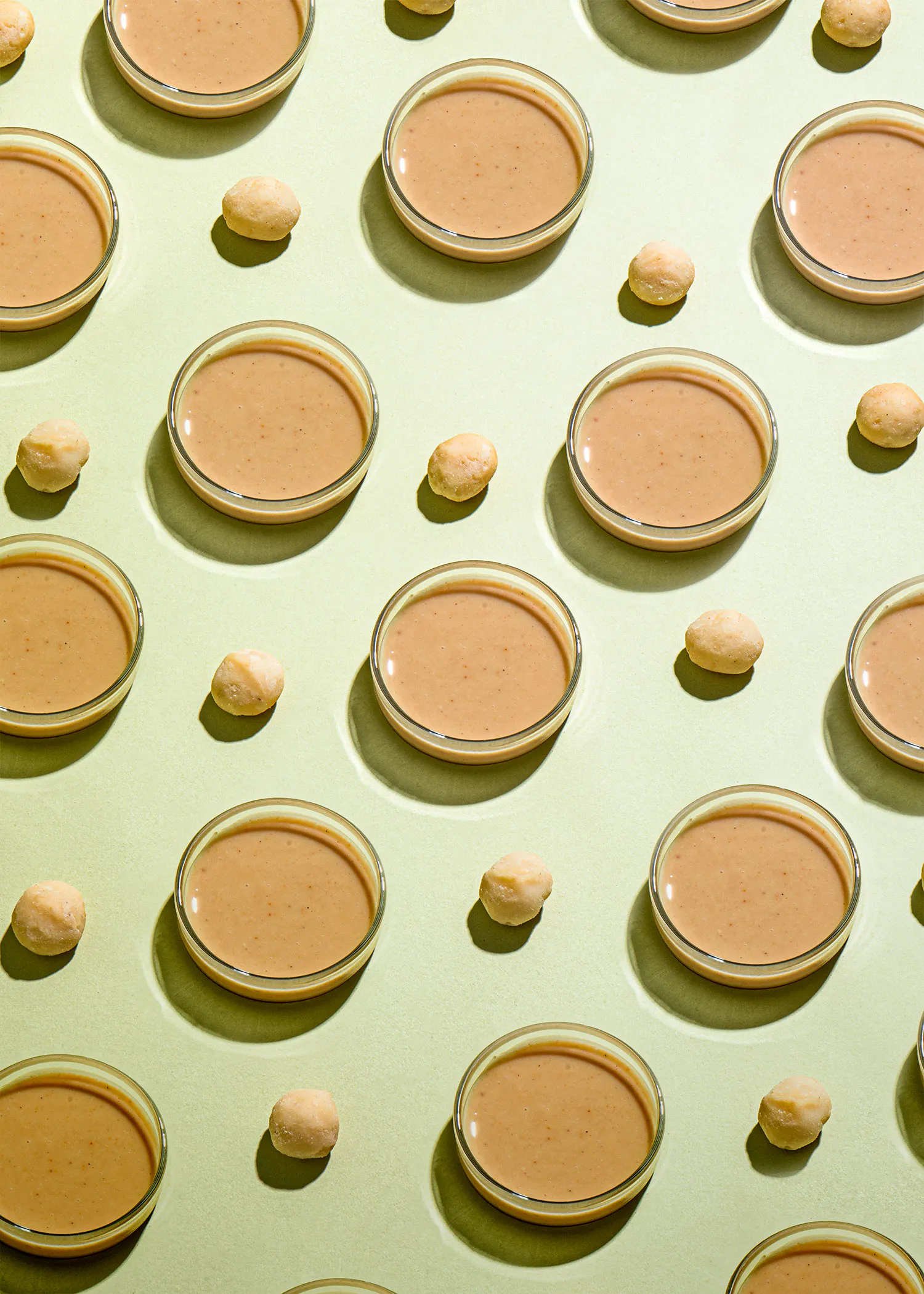 ein nahtloses Muster aus Petrischalen und Erdnüssen auf einem grünen Hintergrund