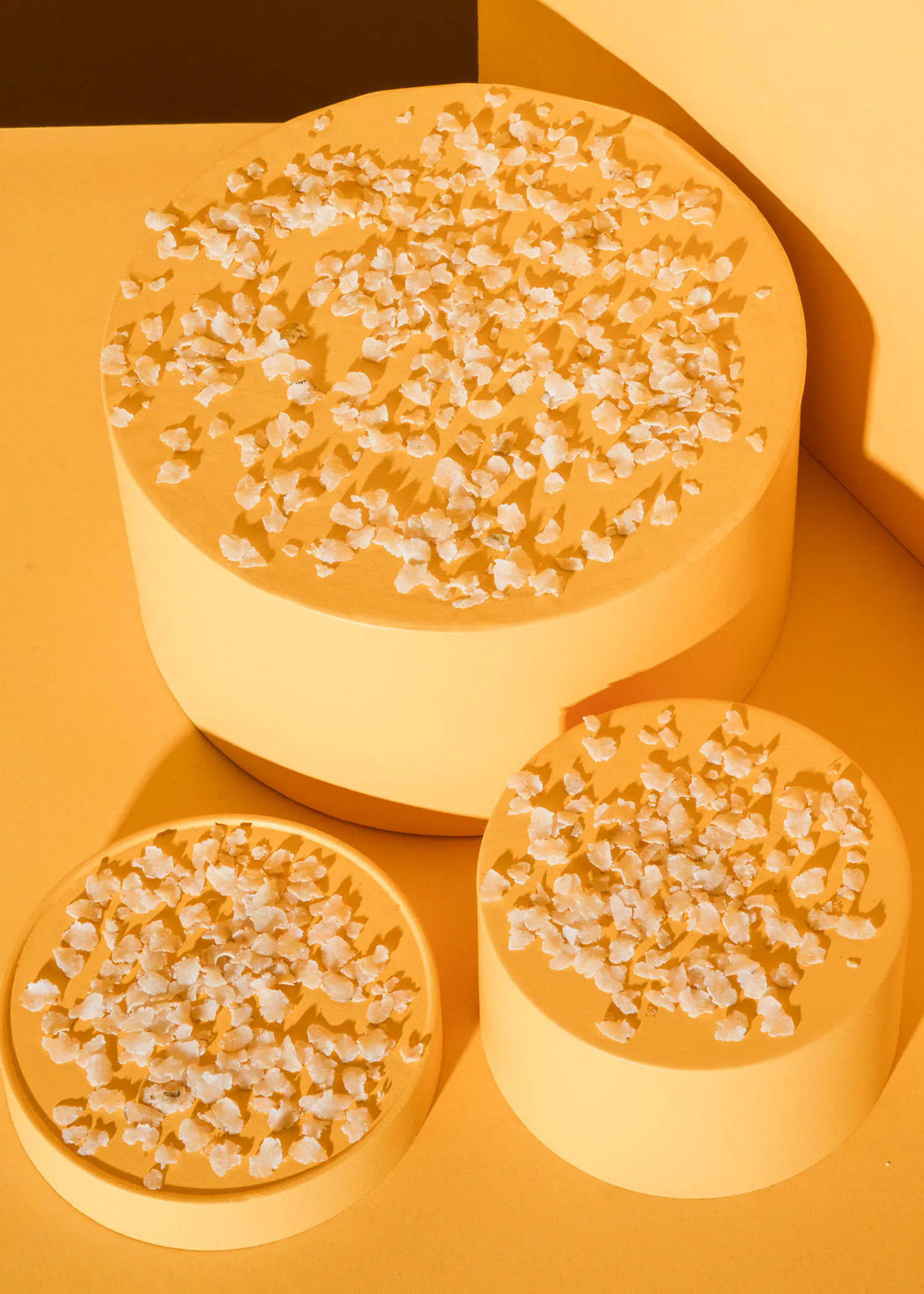 drei gelbe Kreise mit weißen Blüten auf einem gelben Tisch