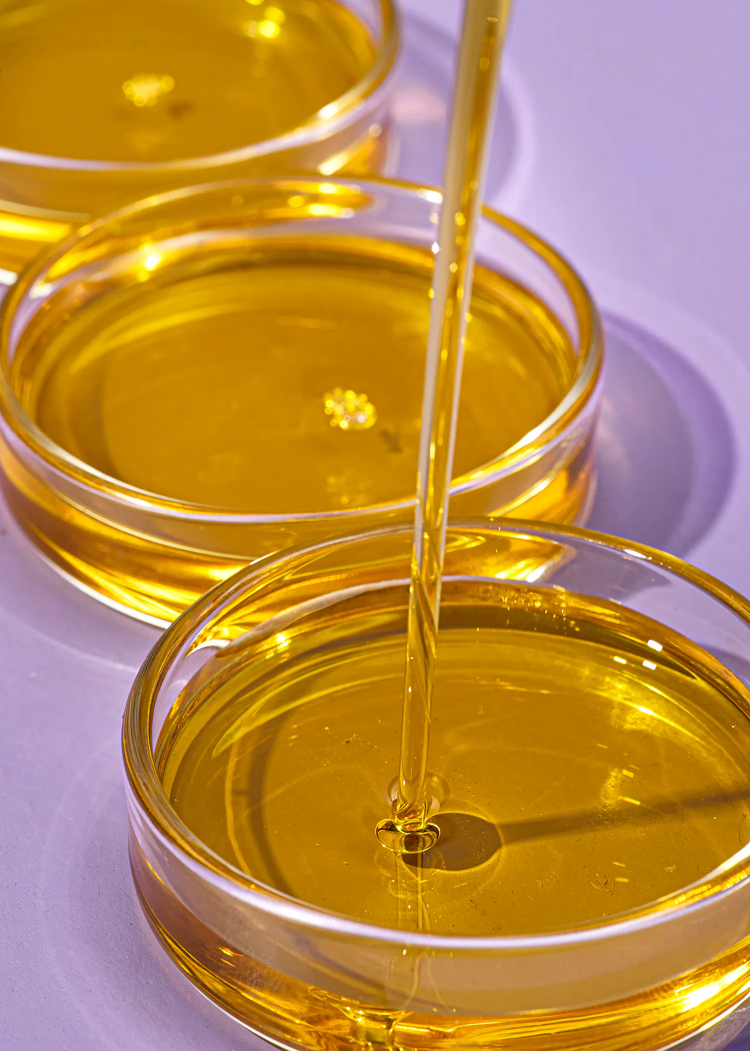 three petri dishes filled with yellow liquid on a table