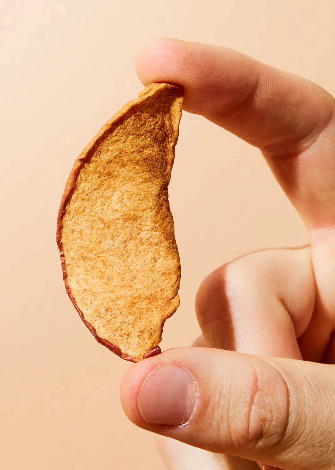 a person is holding a slice of apple chips in their hand