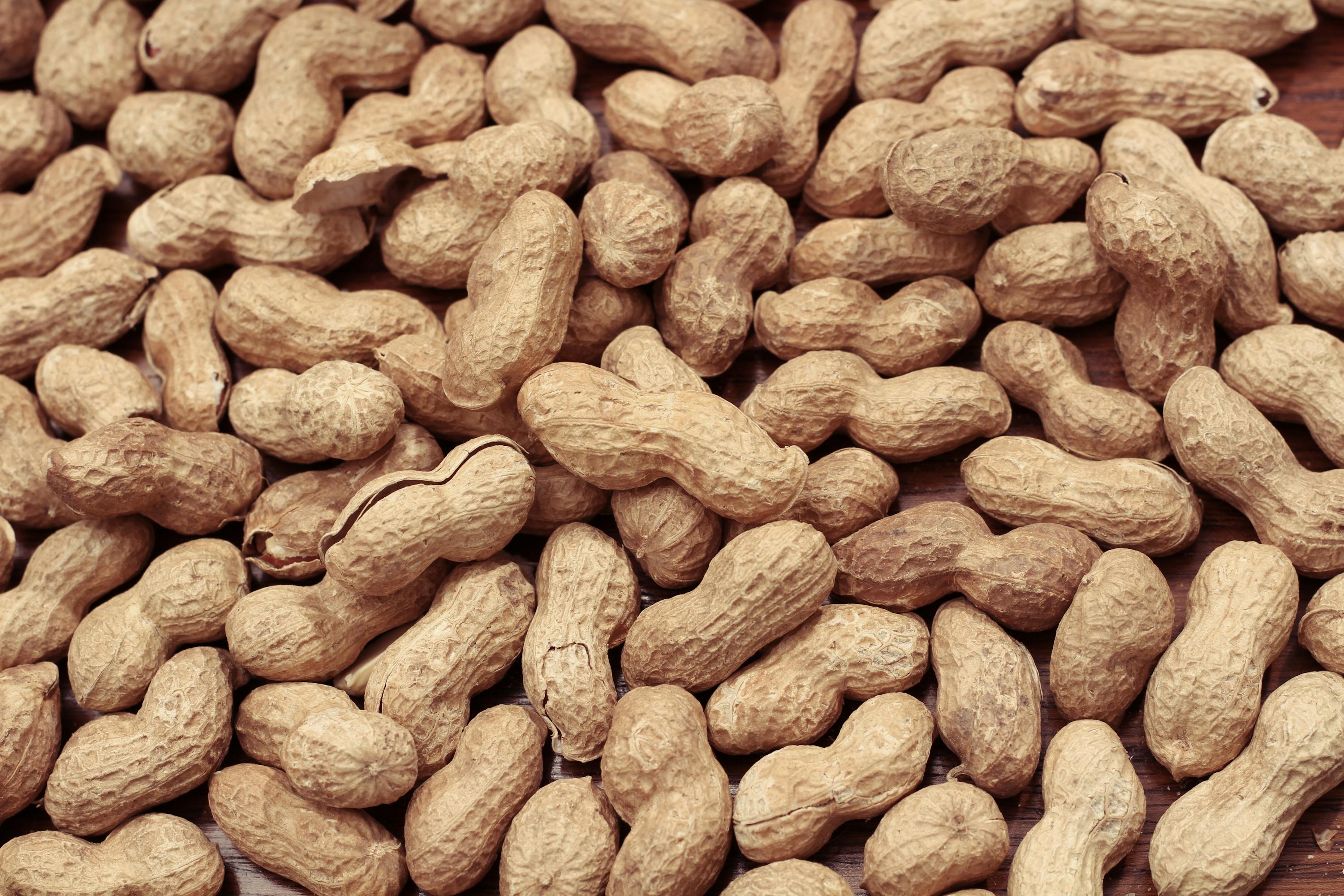 Bio Erdnussmus mit Haut kaufen KoRo Germany