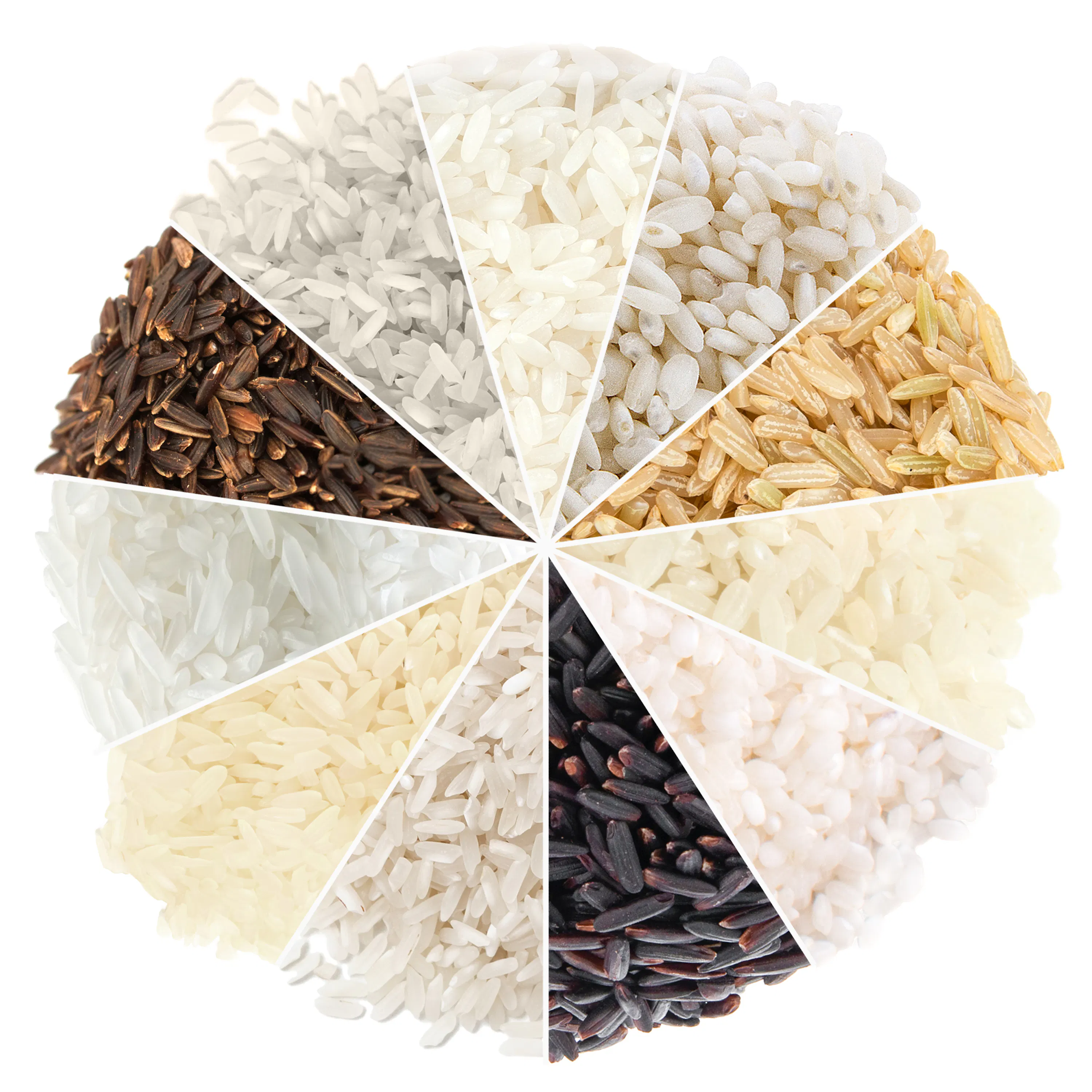 Achetez du riz Basmati bio | KoRo France