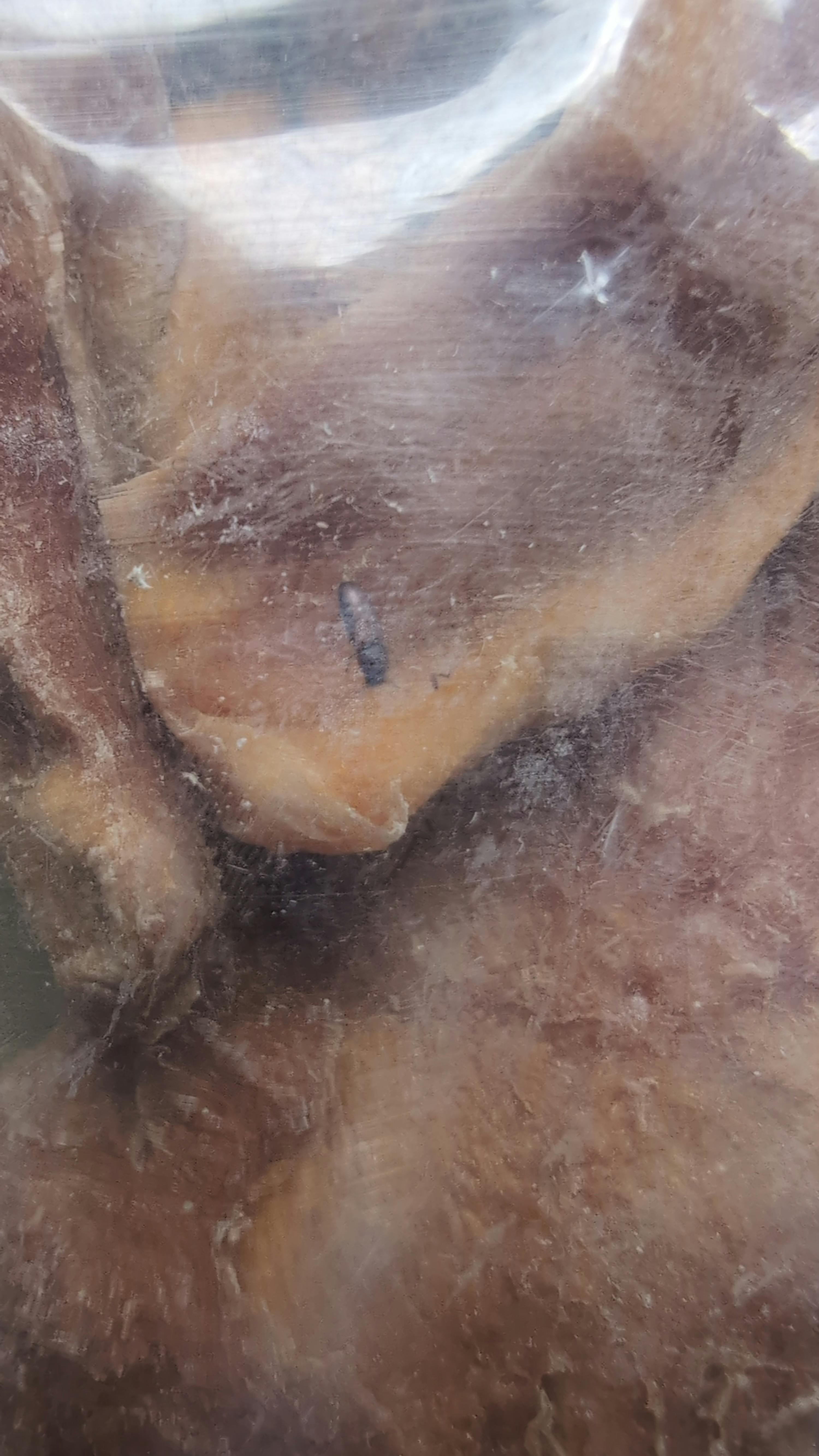 un gros plan d' un morceau de viande à l' intérieur d' un sac en plastique