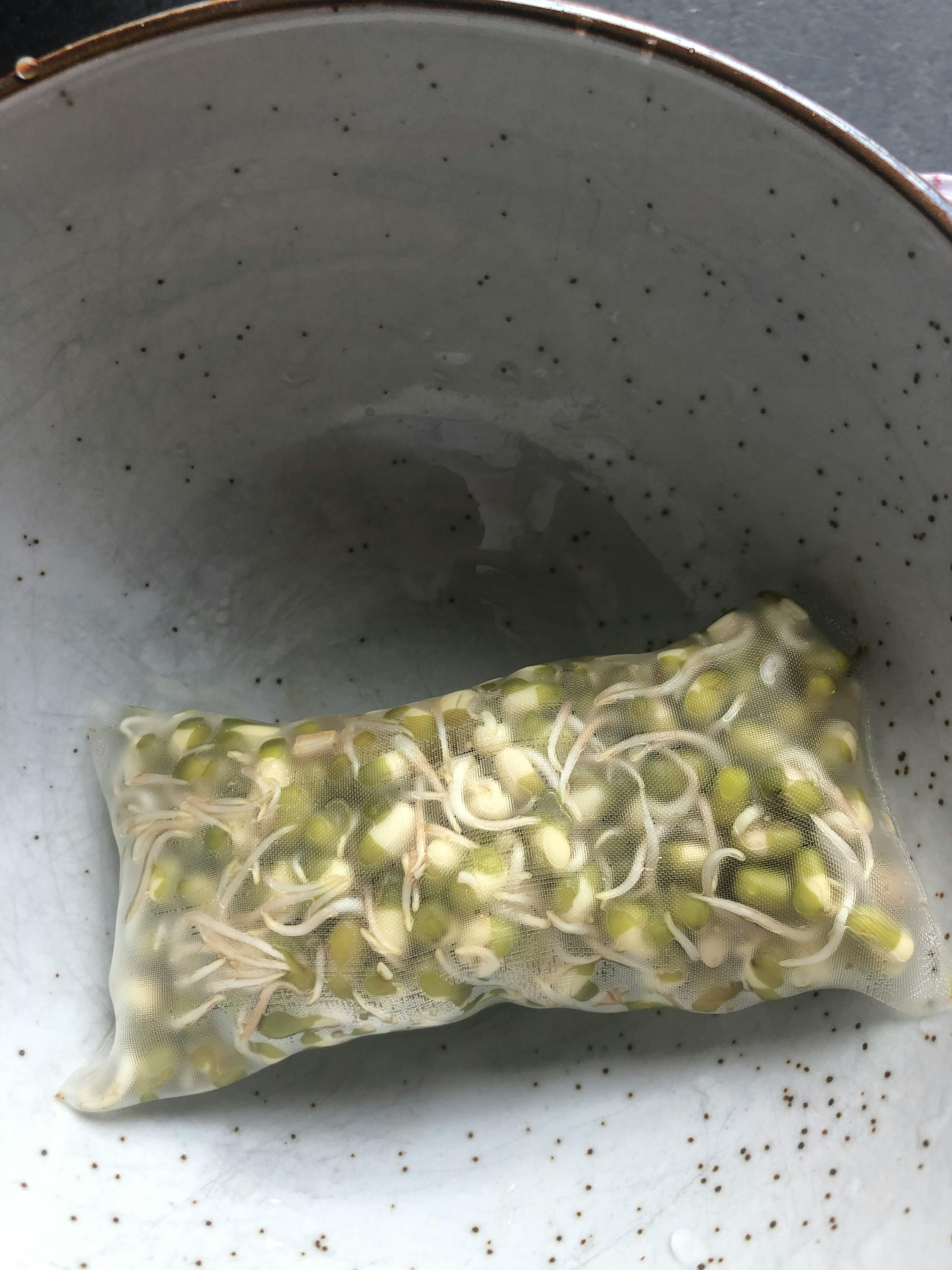 eine Nahaufnahme eines Plastikbeutels mit sprösslingen in einer Schüssel
