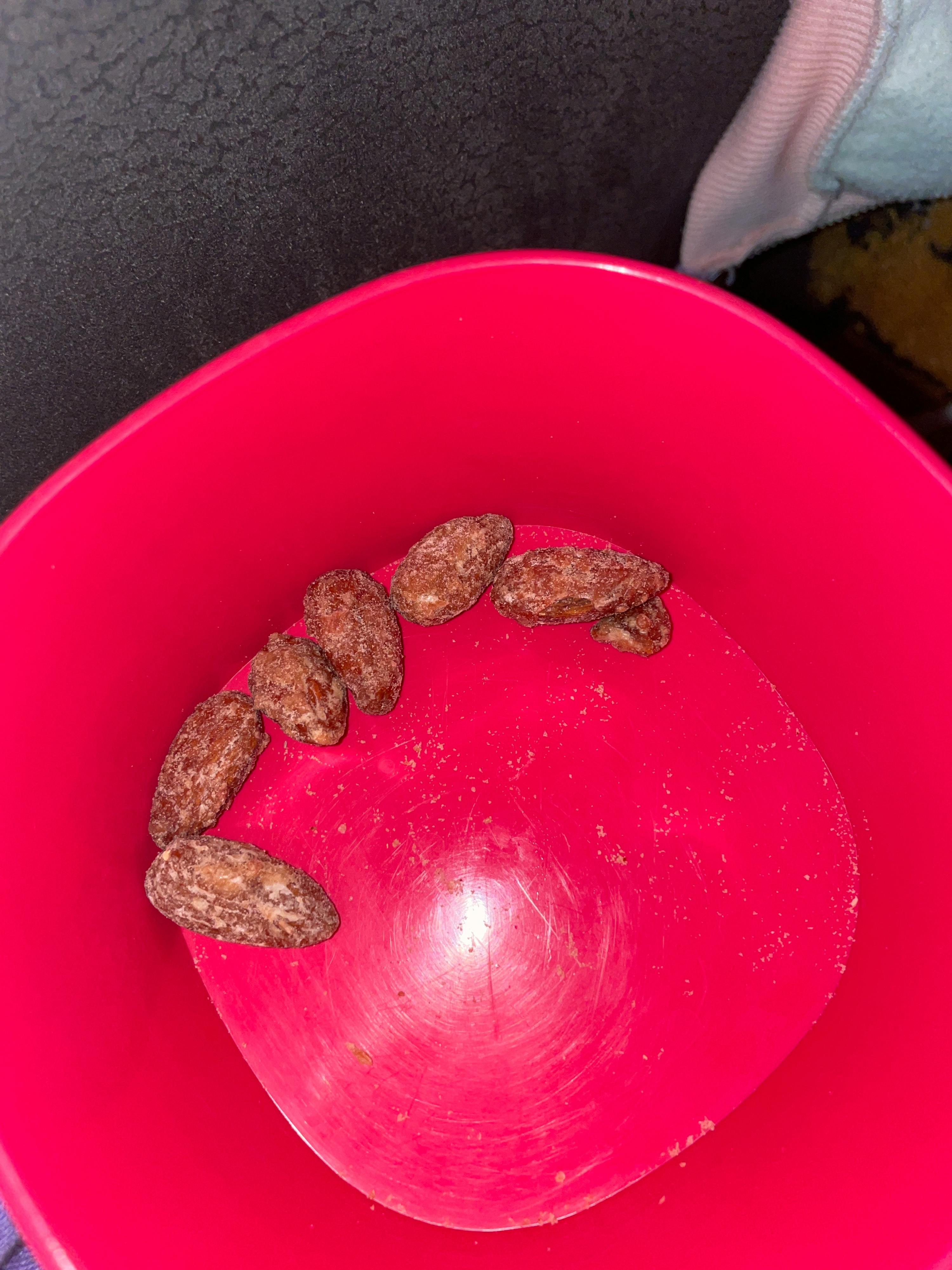 un bol rose rempli de nourriture pour chiens