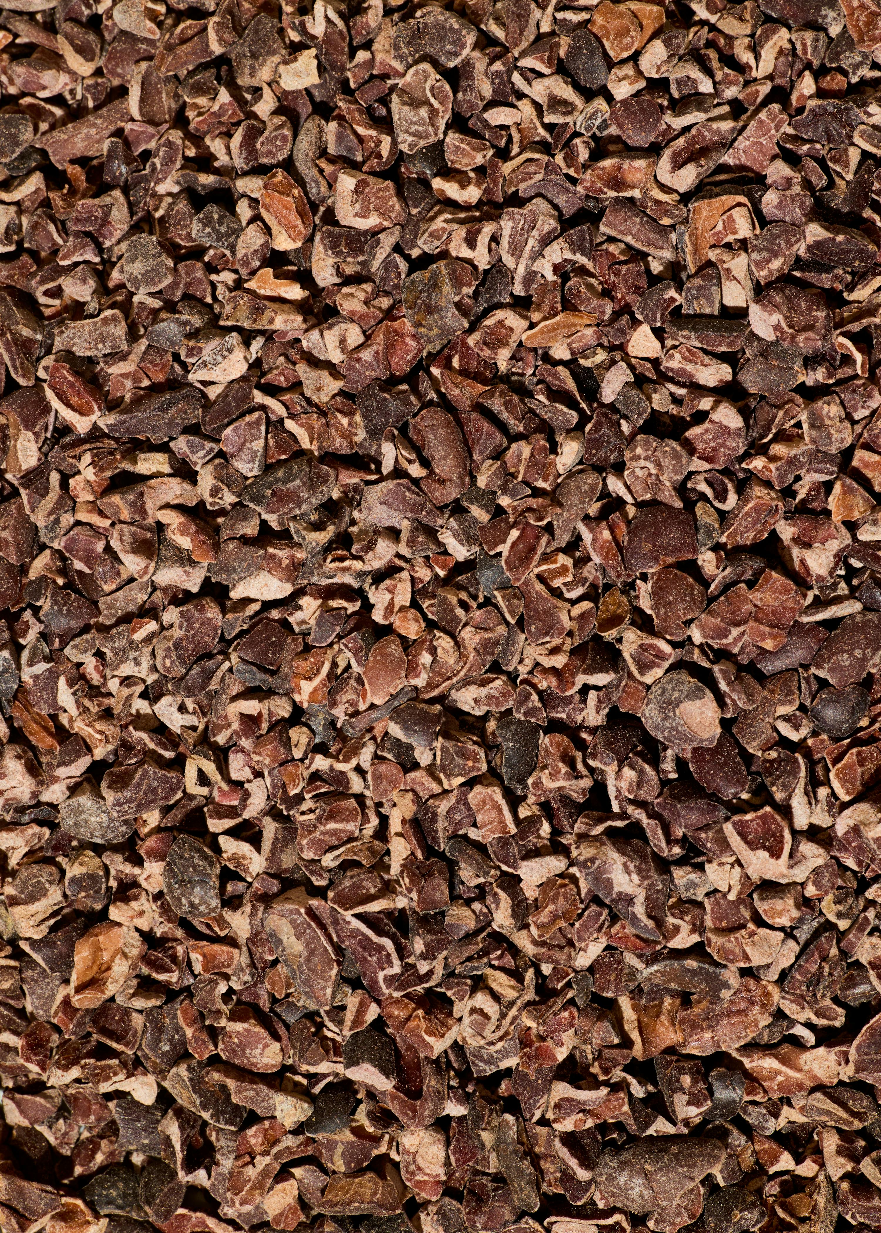 a close-up, full-frame view of dark and reddish-brown cocoa nibs.