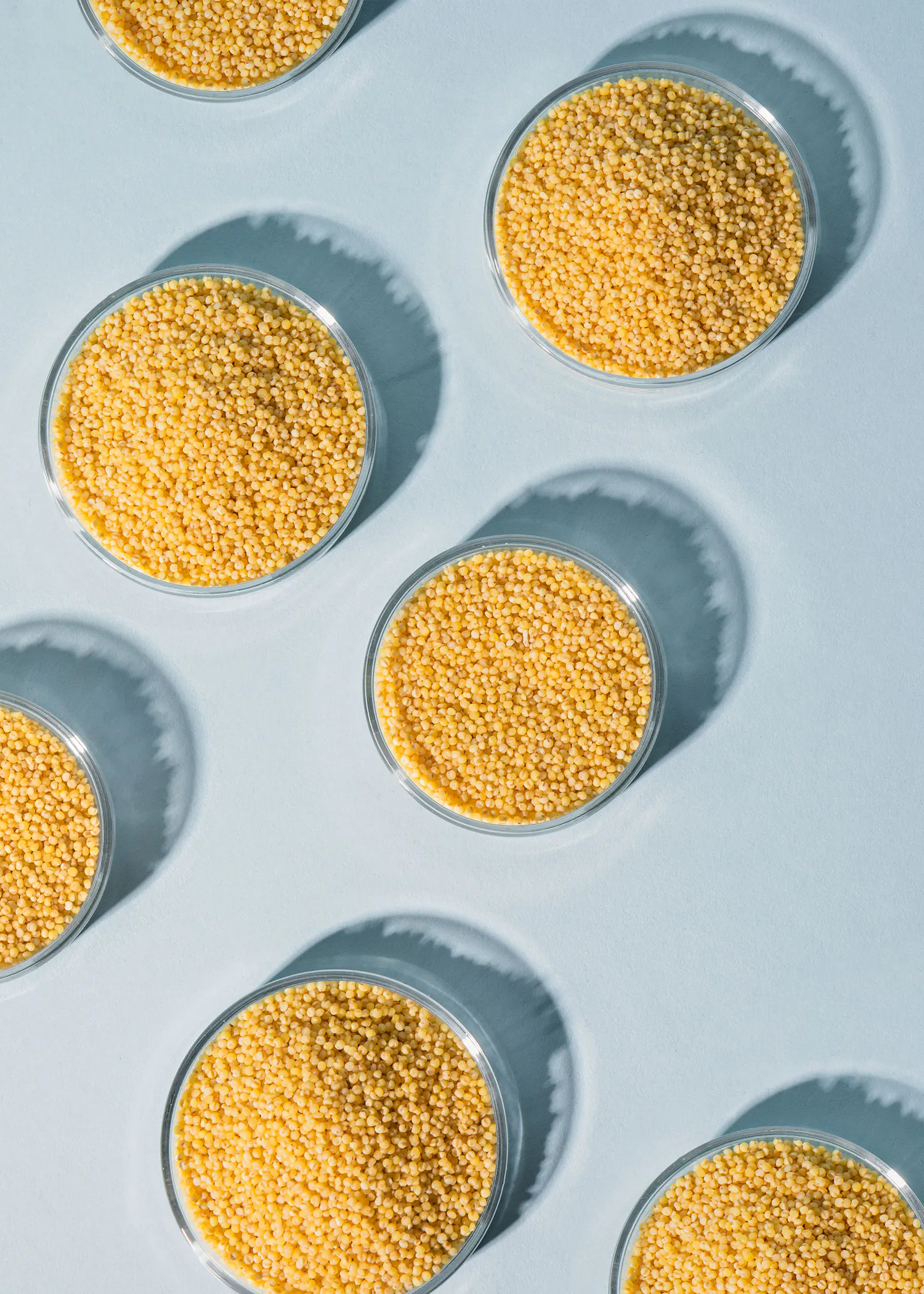 des bols en verre remplis de petites billes jaunes