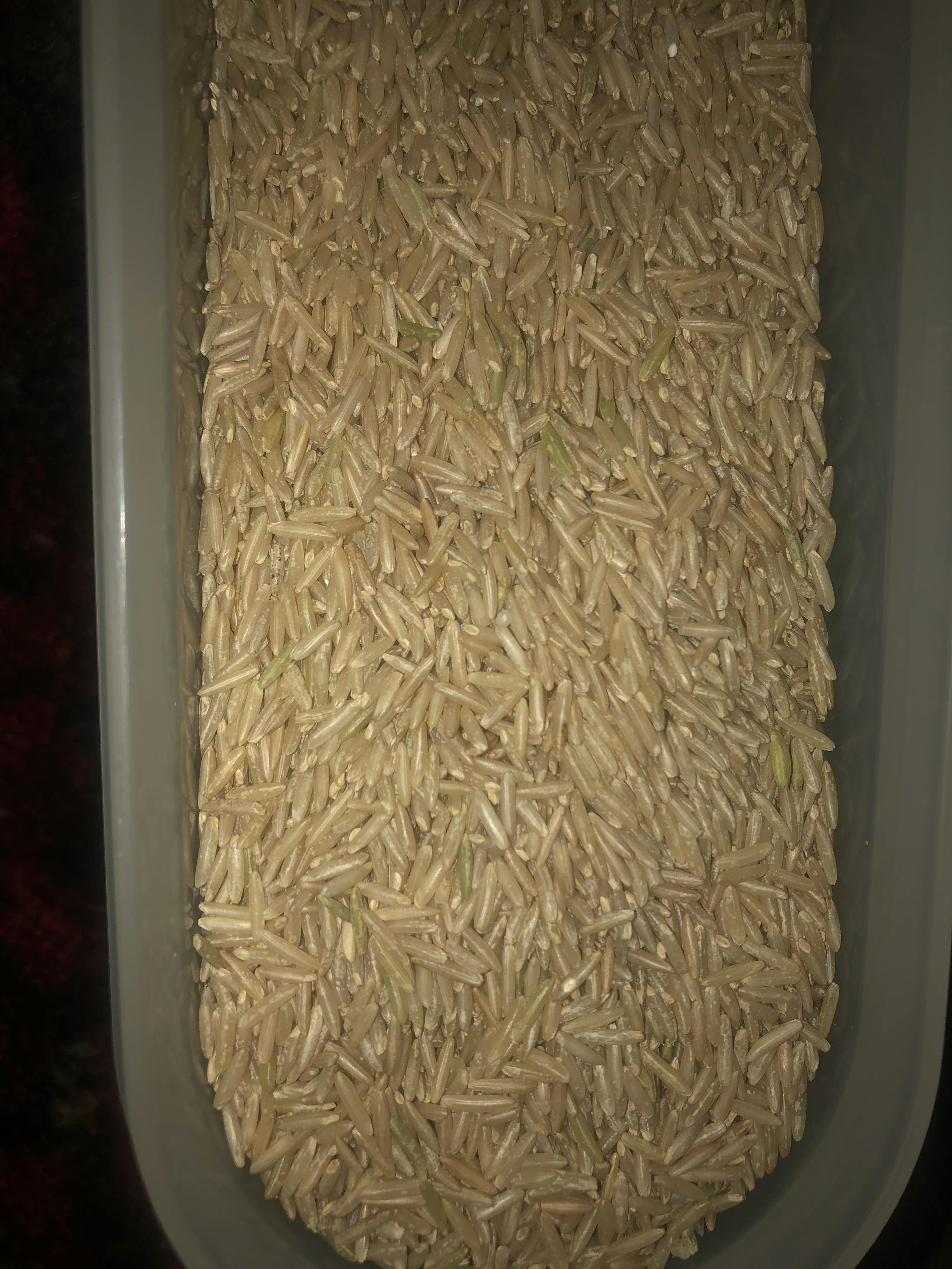 eine graue Schüssel voller brauner Reis