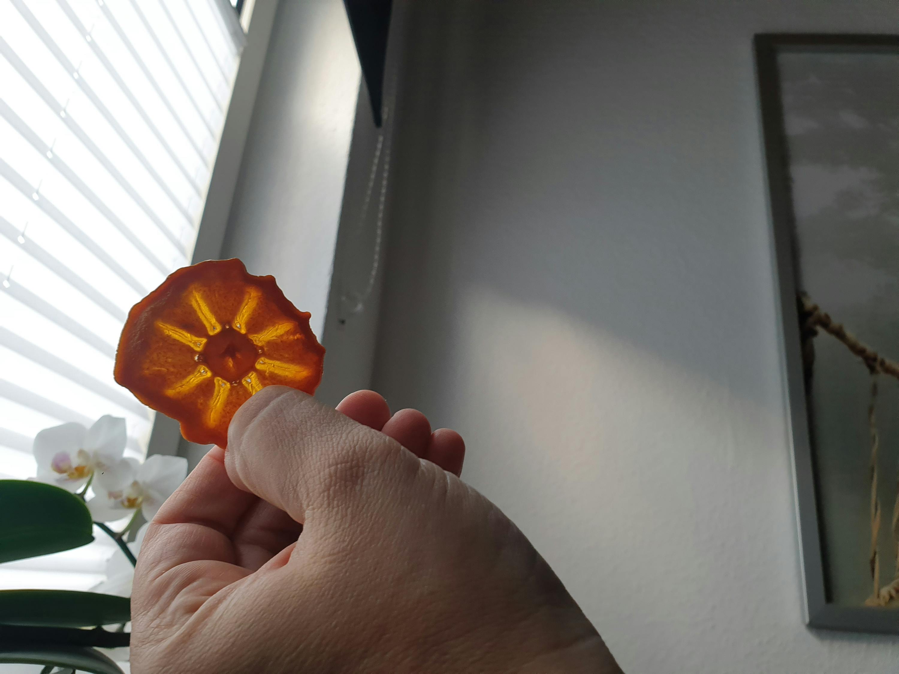 eine Person hält einen Stück Obst in der Hand