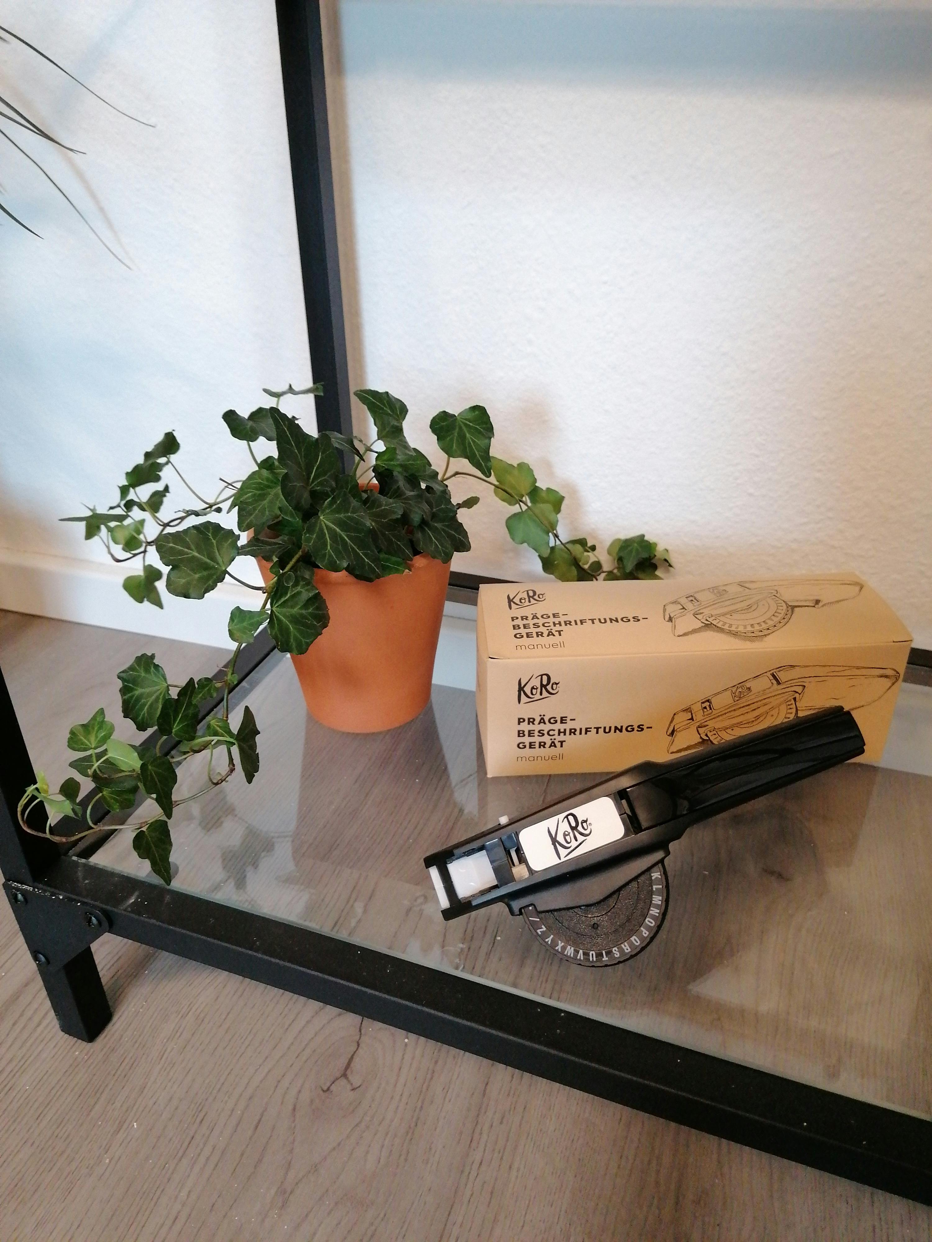 a plant sits next to a box that says " kore "