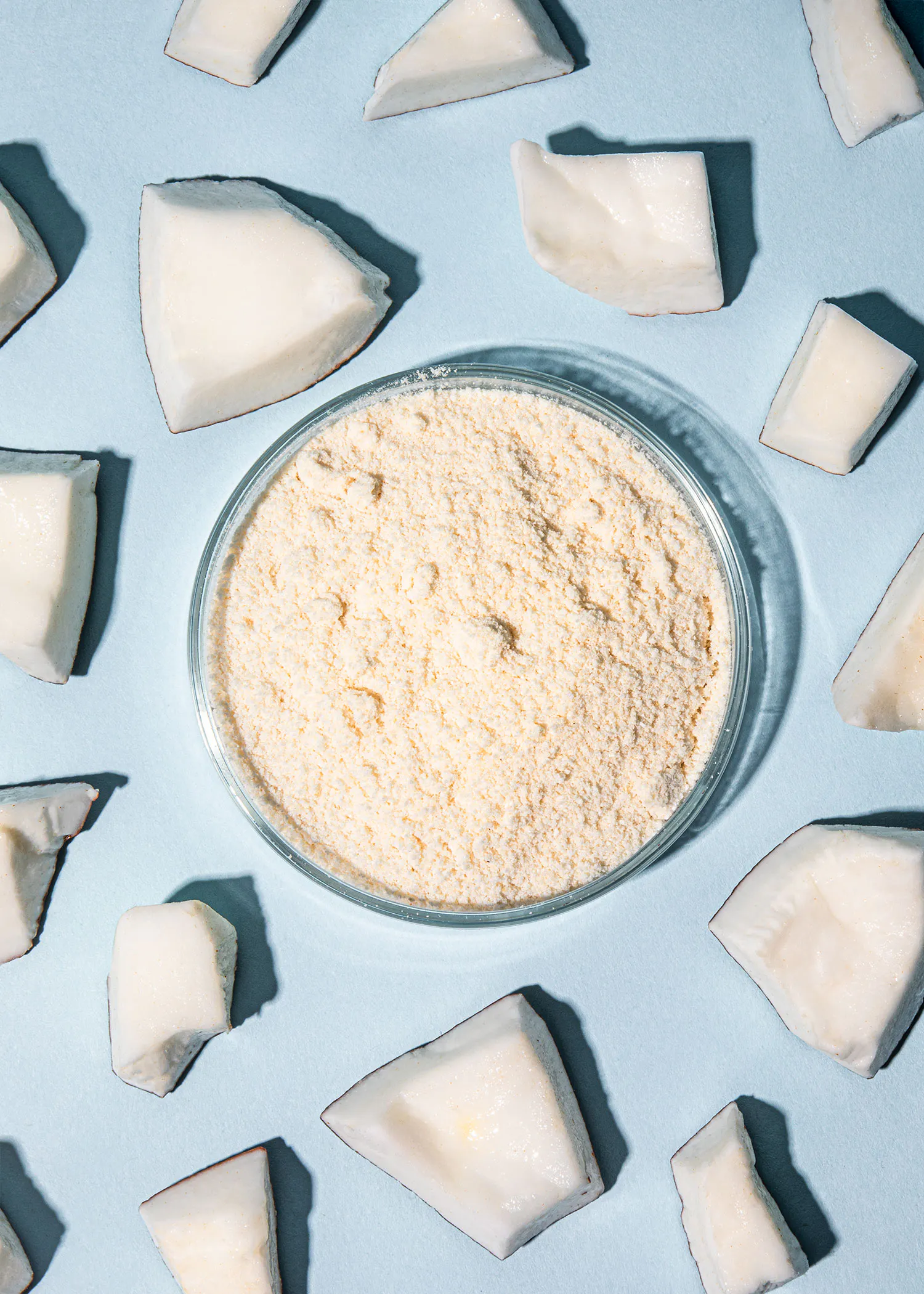 eine Nahaufnahme einer Mikroskopschüssel mit Kokosflocken umgeben