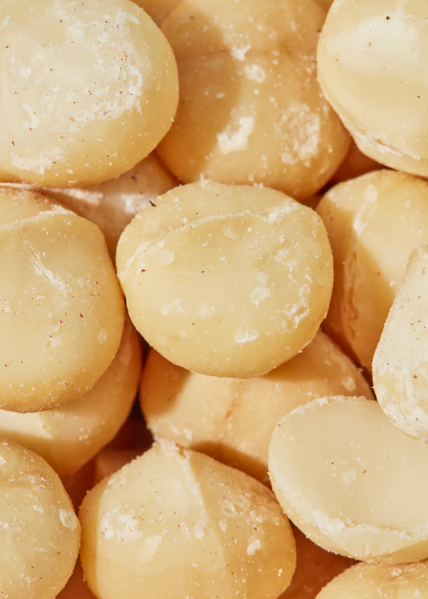 un gros plan d' un tas de noix de macadamia