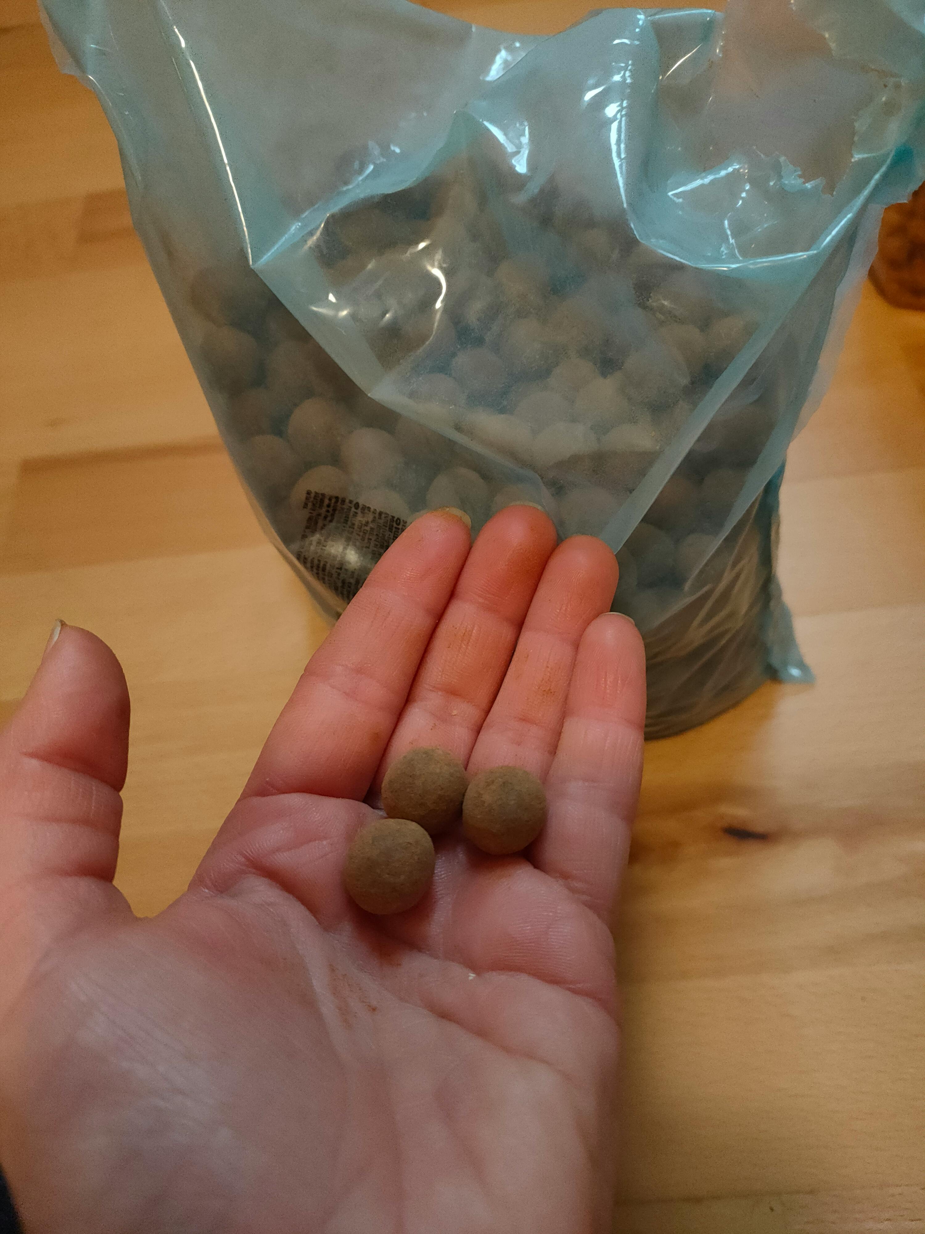 eine Person hält zwei braune Kugeln in der Hand vor einem Plastiksack