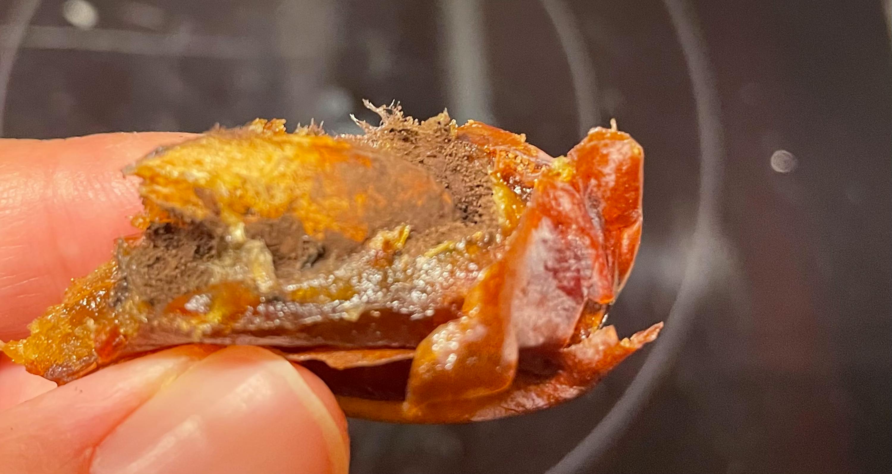 a close up of a person holding a piece of meat