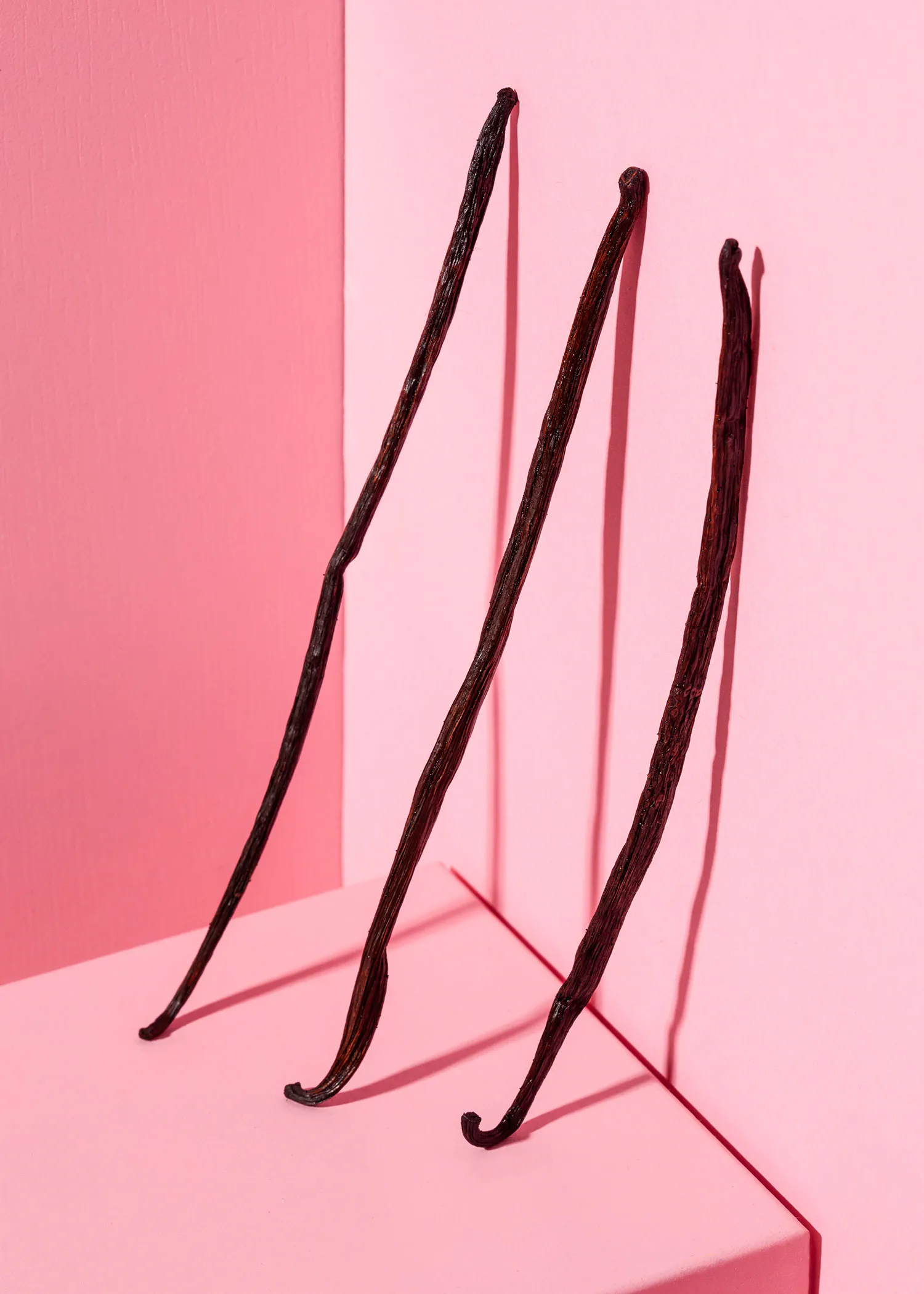 drei Vanillestangen stehen auf einem rosa Ständer