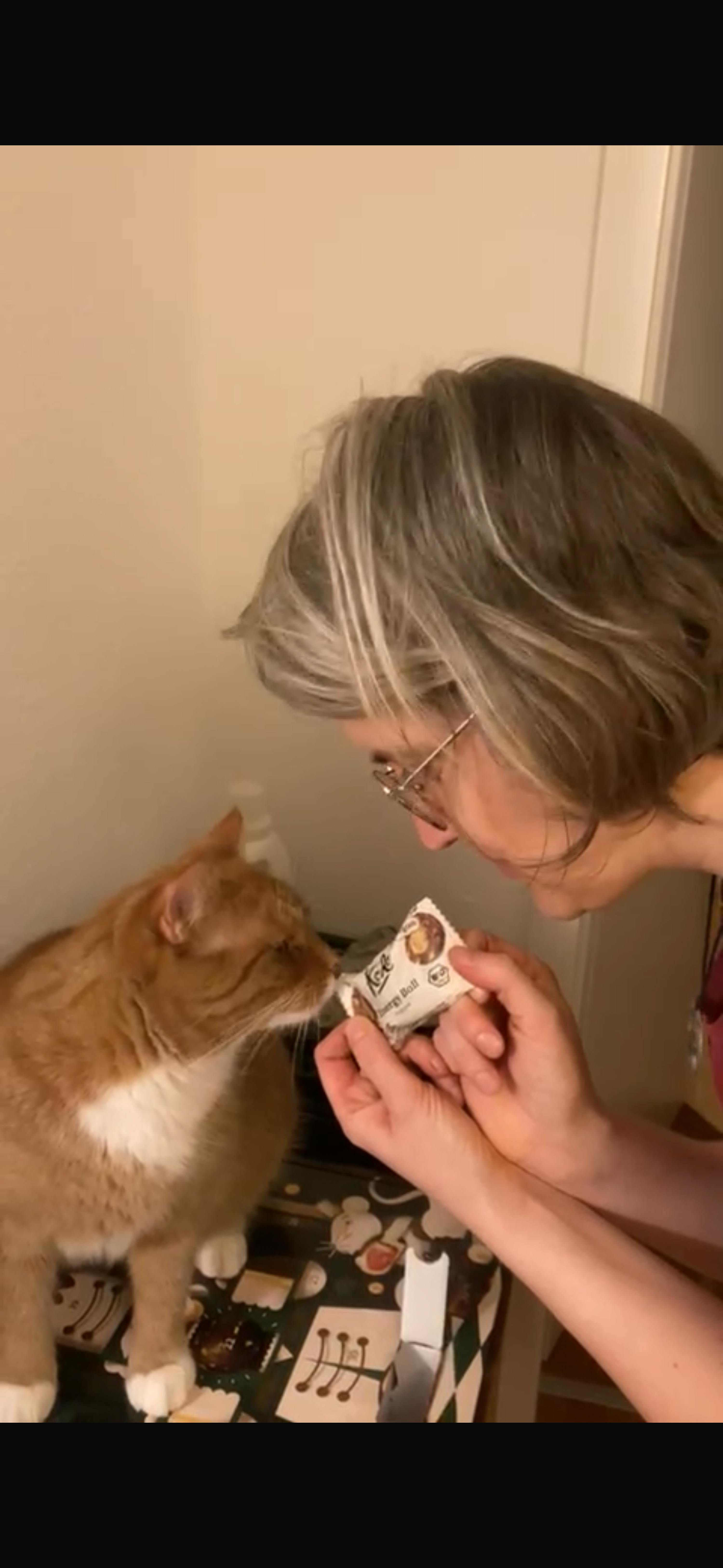 una donna tiene in mano un pezzo di cibo per gatti mentre un gatto guarda