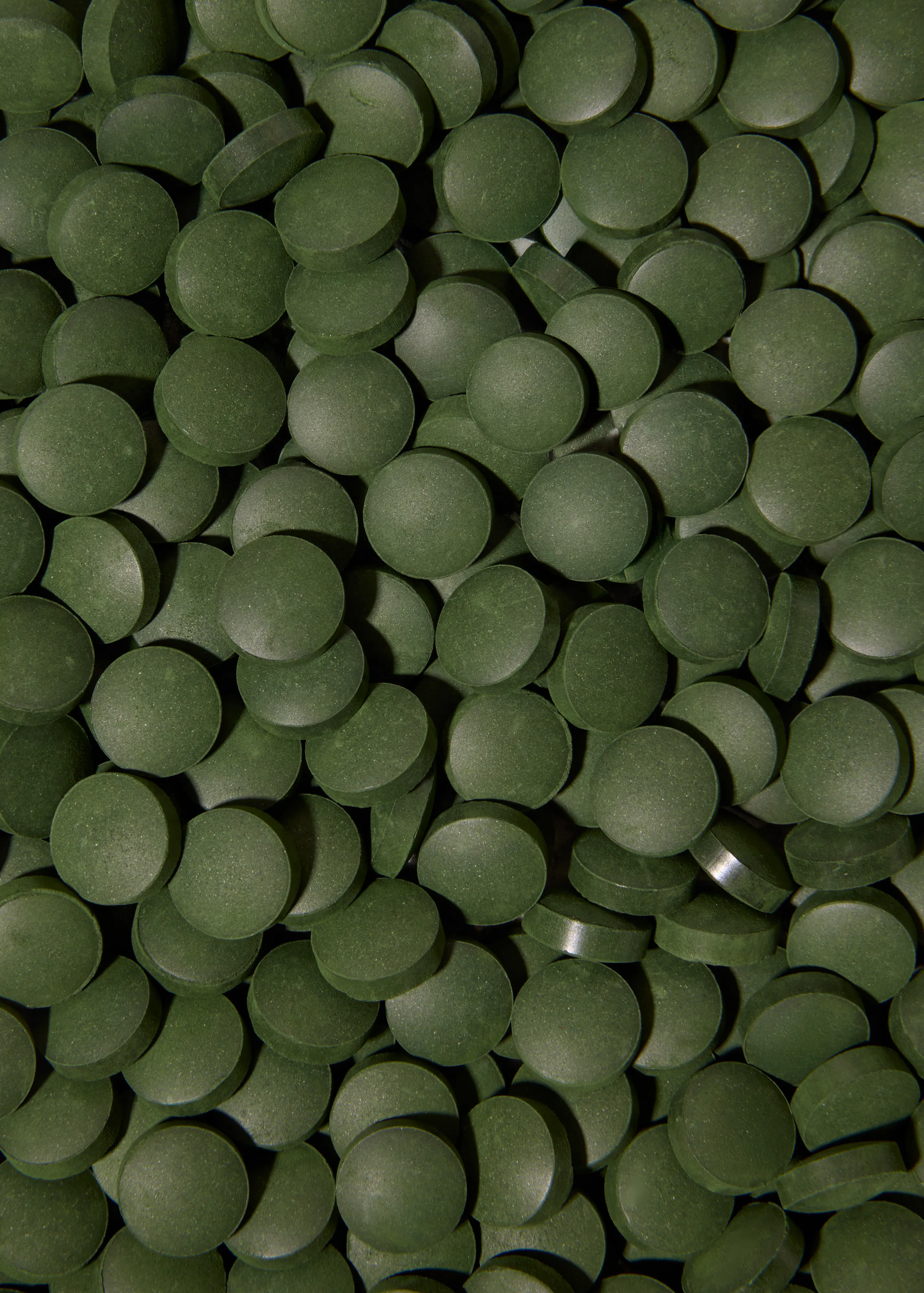 gros plan sur une multitude de comprimés ronds vert foncé, probablement de la spiruline ou de la chlorelle, remplissant le cadre.