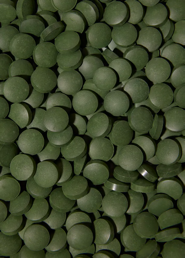 eine nahaufnahme vieler kleiner, runder, dunkelgrüner tabletten, die den bildausschnitt füllen.