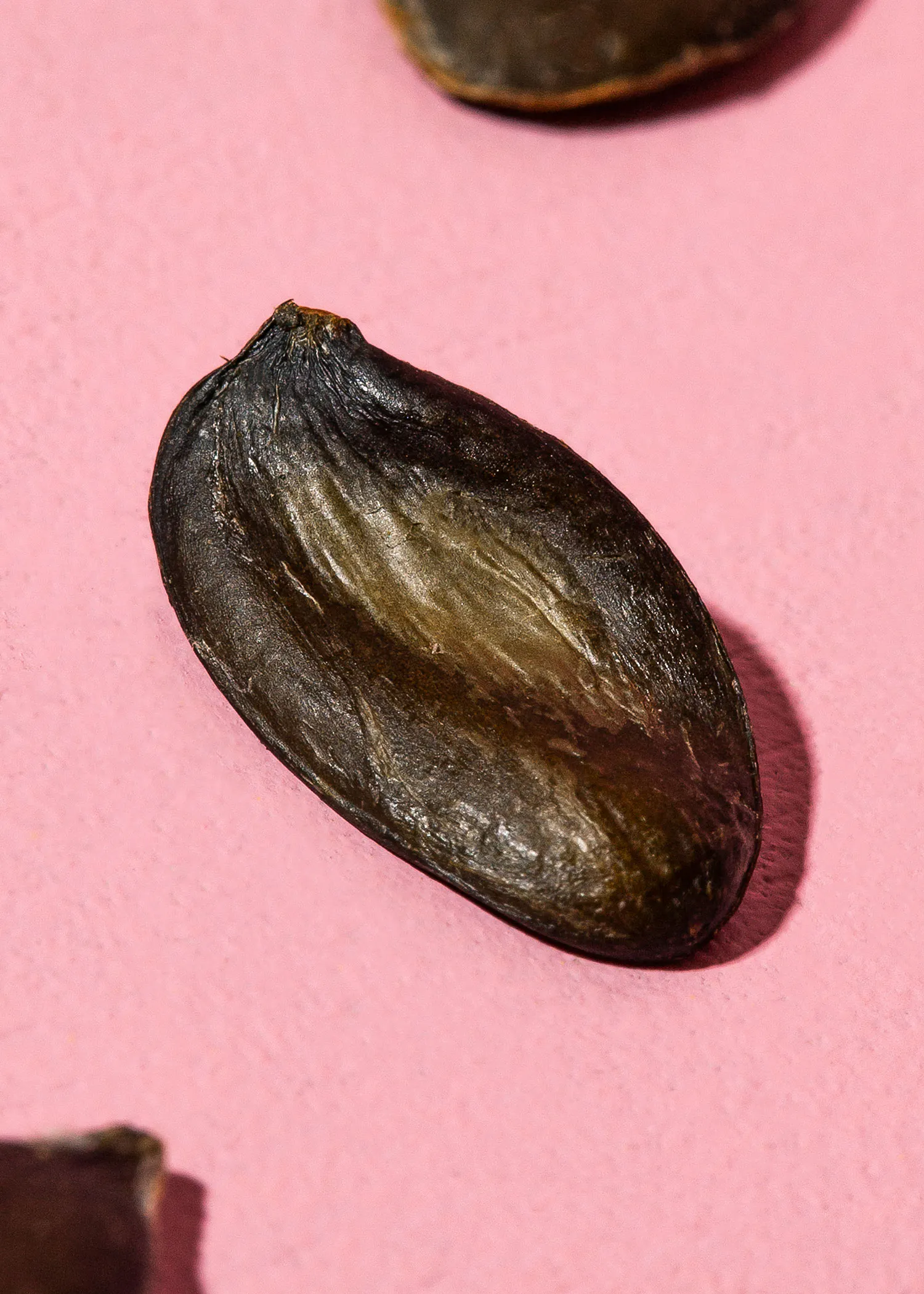 un gros plan d' une graine sur fond rose