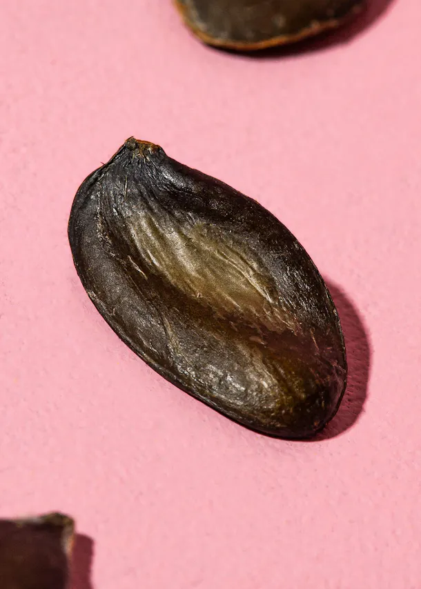 un gros plan d' une graine sur fond rose