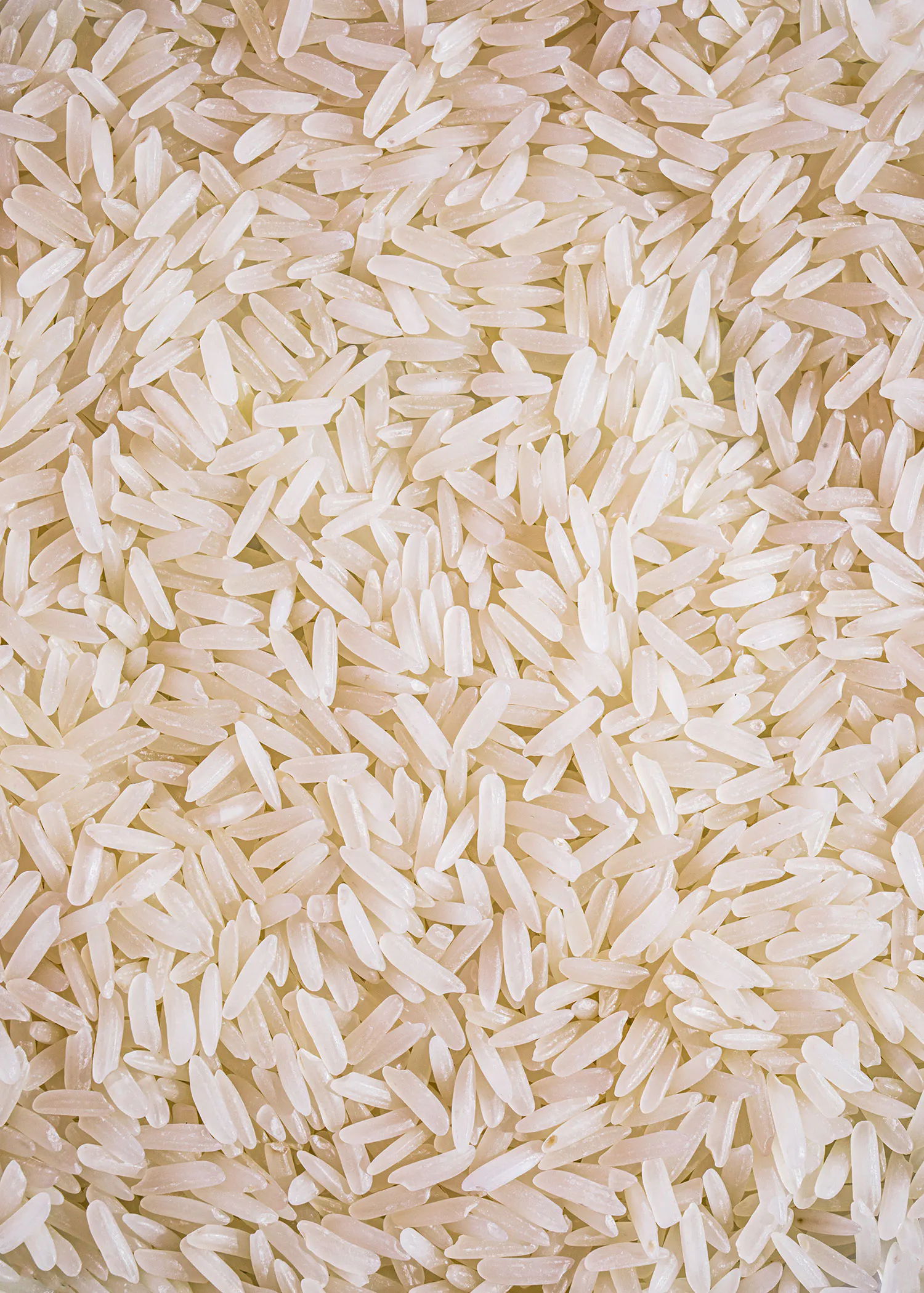 un tas de riz blanc est posé sur une surface