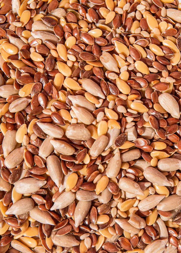 a pile of sunflower seeds and flax seeds