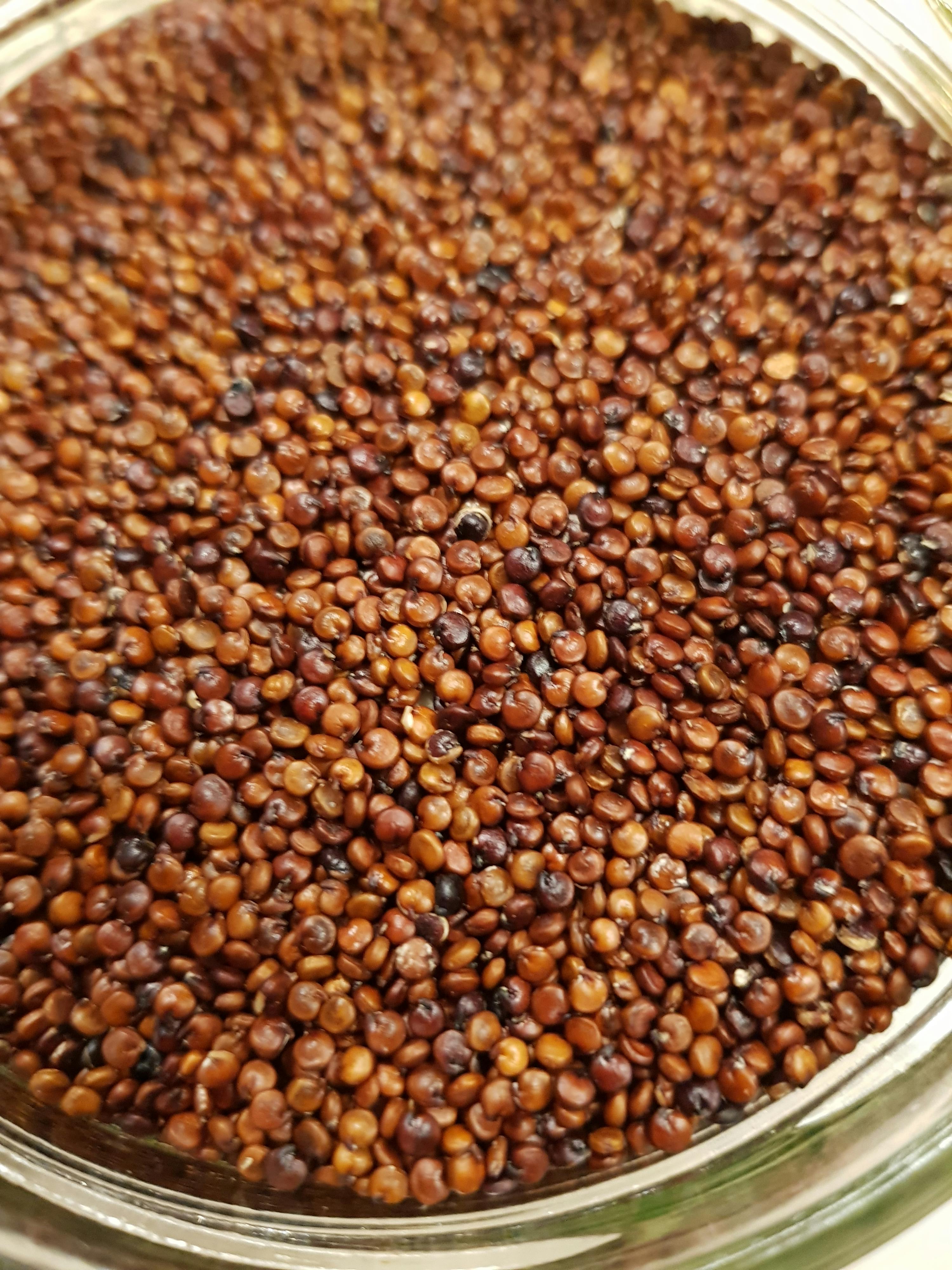 a close up of a glass jar filled with brown beans