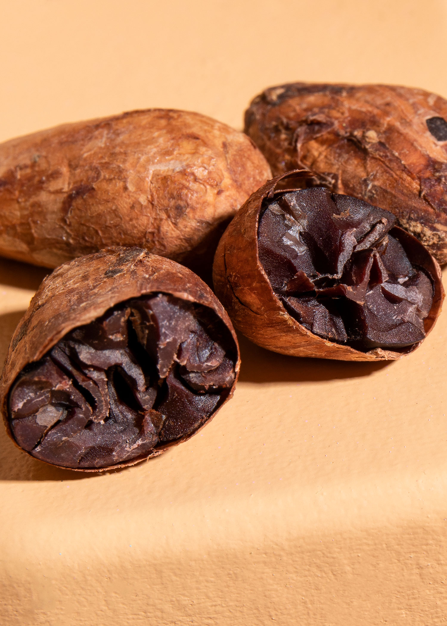 Raw deals cacao bean