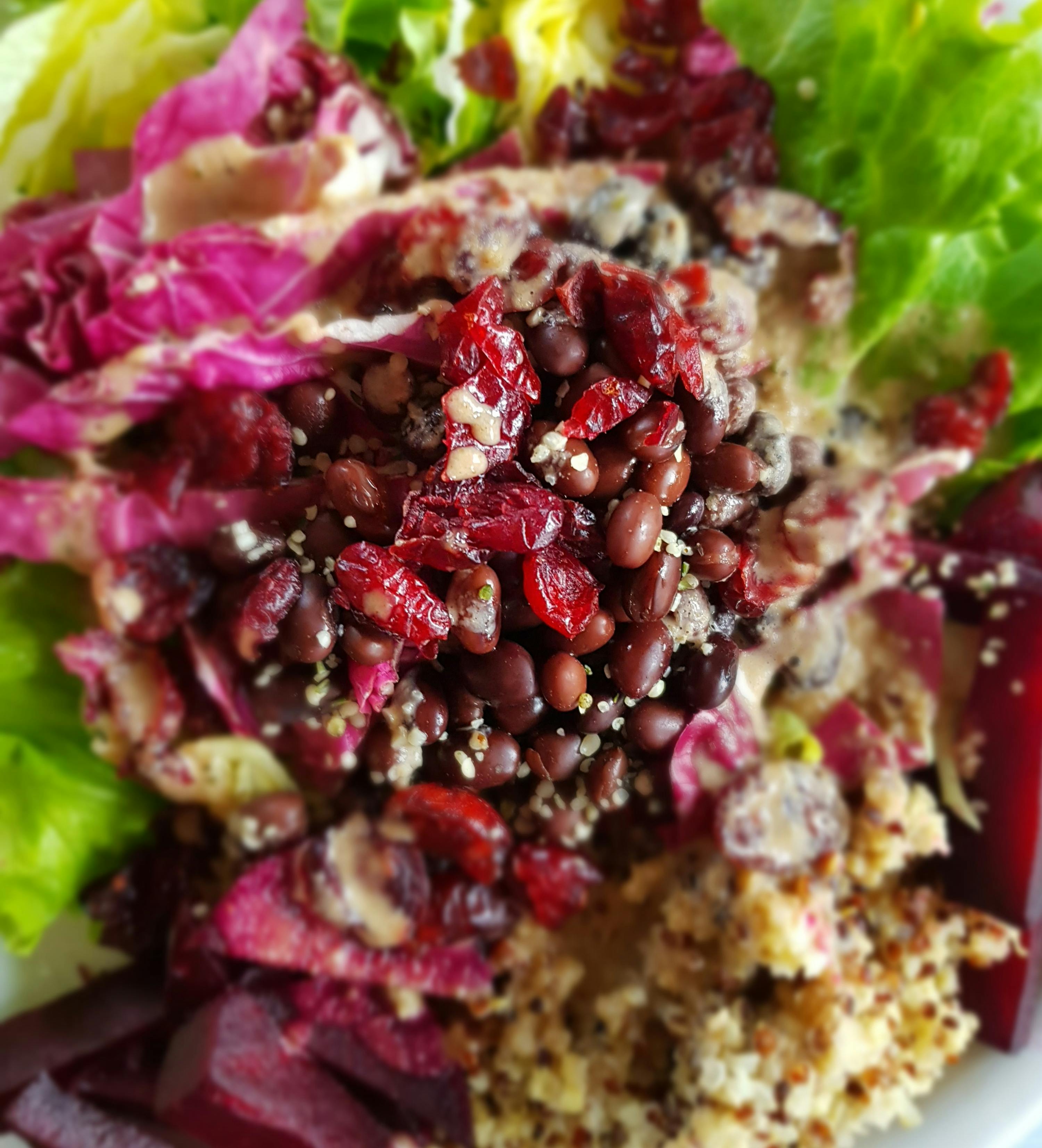 a close up of a salad with beans and cranberries