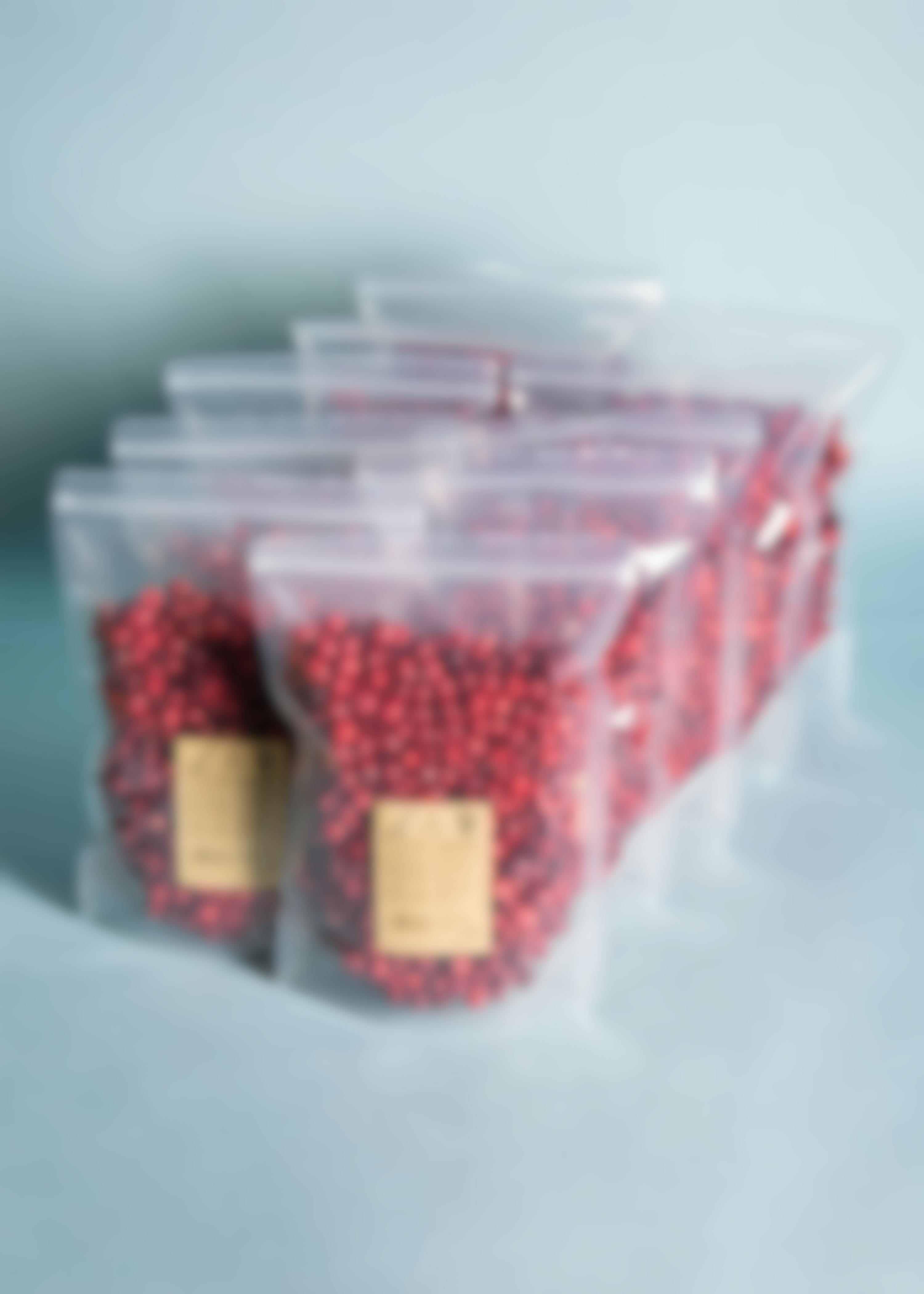 Cranberries lyophilisés, lot de 10 paquets de 175 g