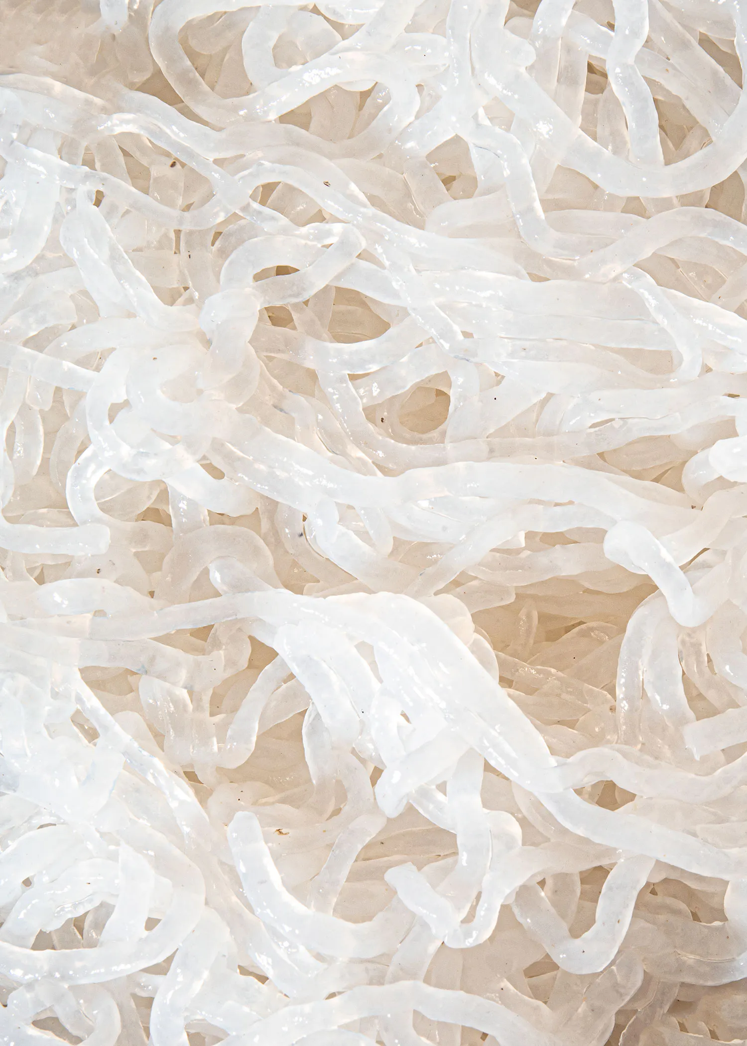 eine Nahaufnahme von einem Haufen weißer Nudeln