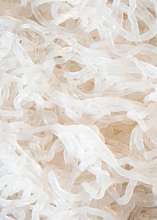 eine Nahaufnahme von einem Haufen weißer Nudeln