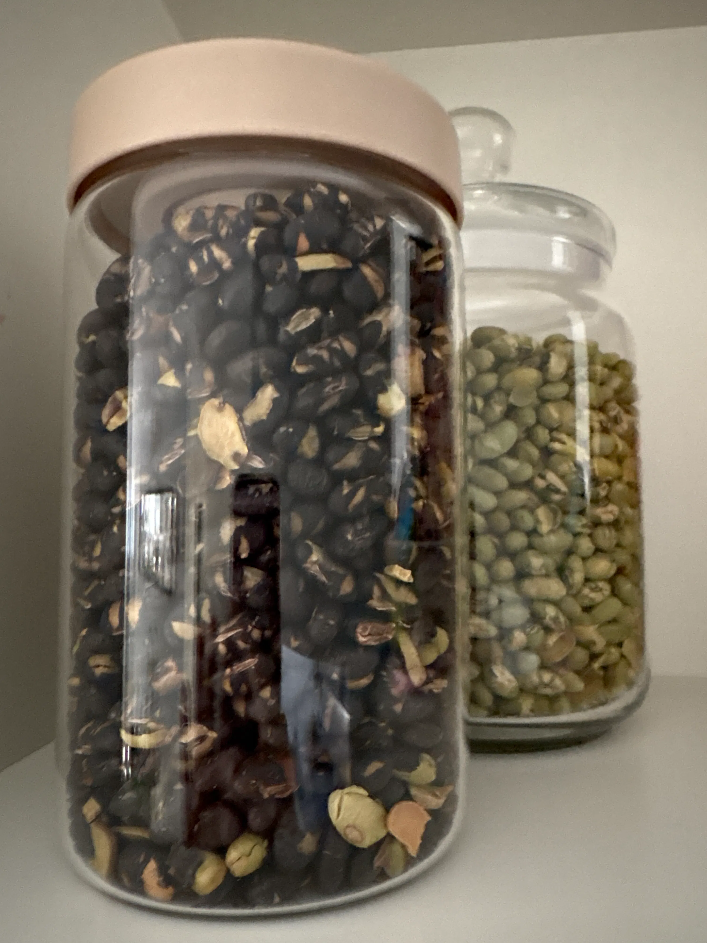 two clear containers filled with green beans and dark beans are lying horizontally.
