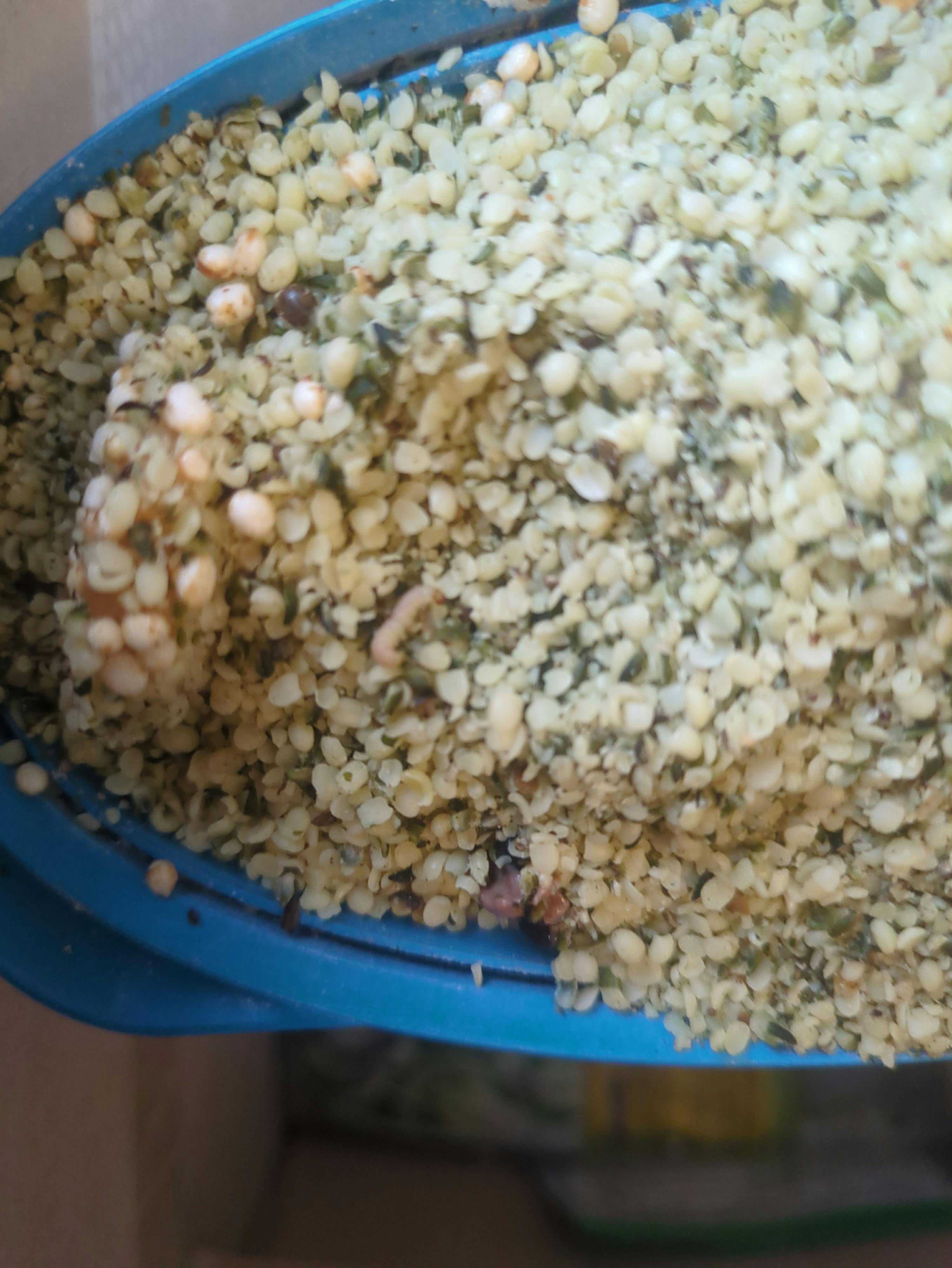 eine nahaufnahme einer mischung aus hellen, geschälten hanfsamen und anderen kleinen samen in einer blauen schaufel.