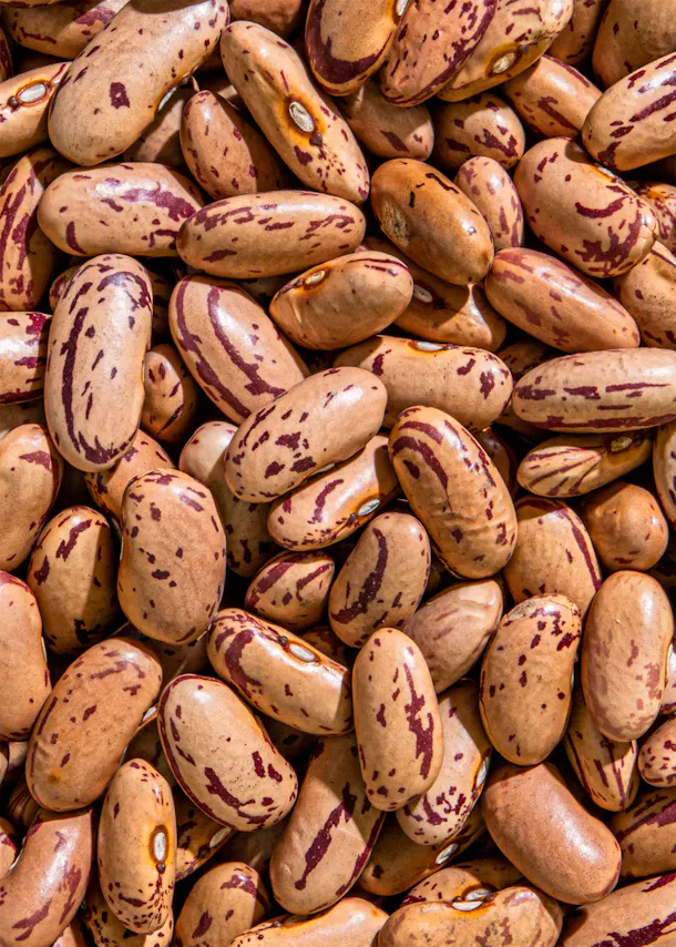 a pile of brown beans with red stripes on them