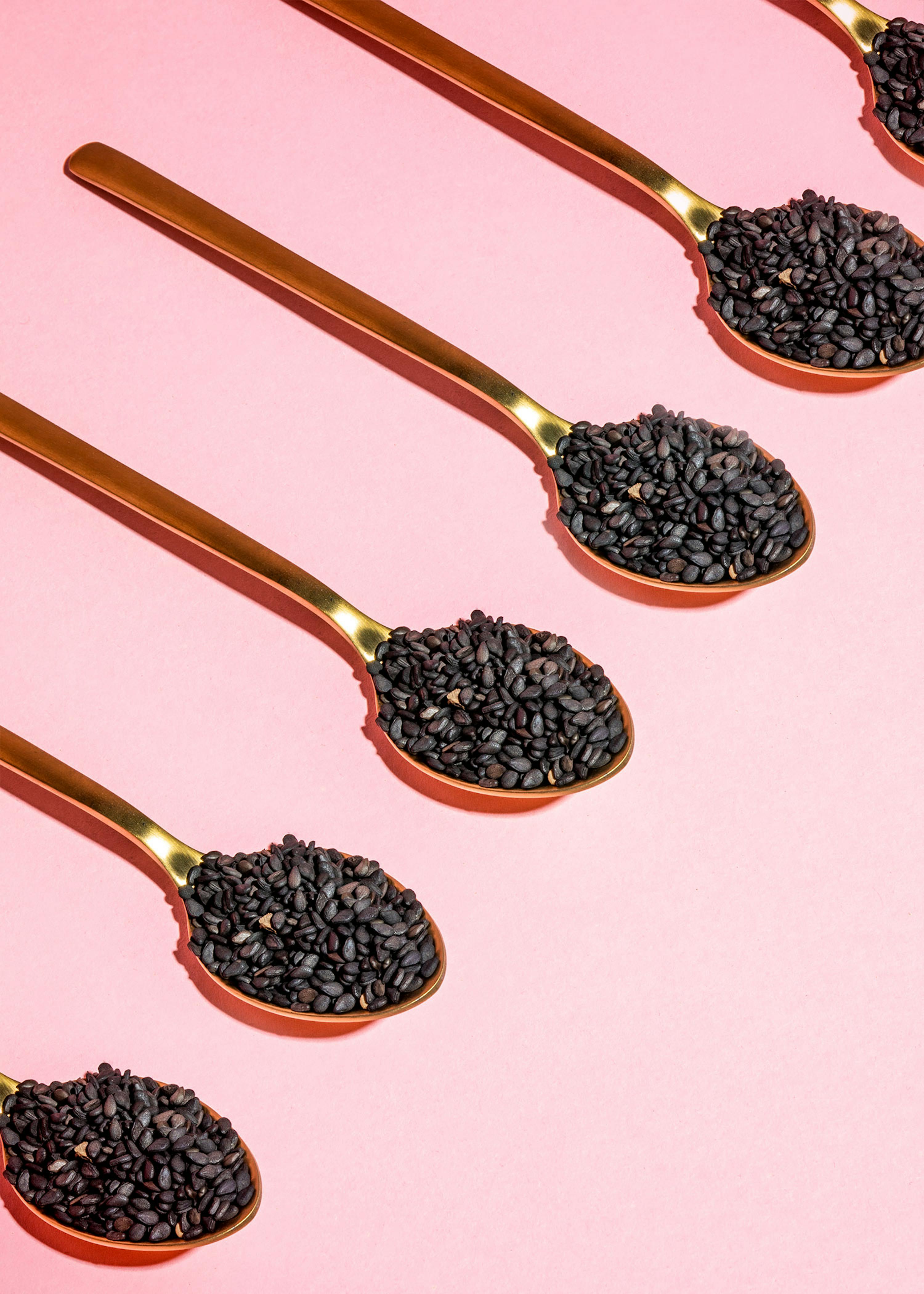 4260654780475 - Schwarzer Bio Sesam 15 kg 4260654780475 - Schwarzer Bio Sesam 15 kg