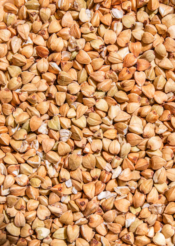un gros plan d' une pile de graines de sarrasin