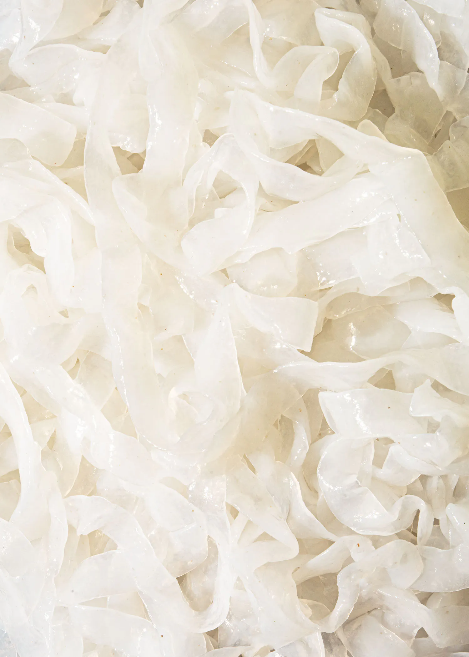 eine Nahaufnahme von einem Haufen weißer Nudeln