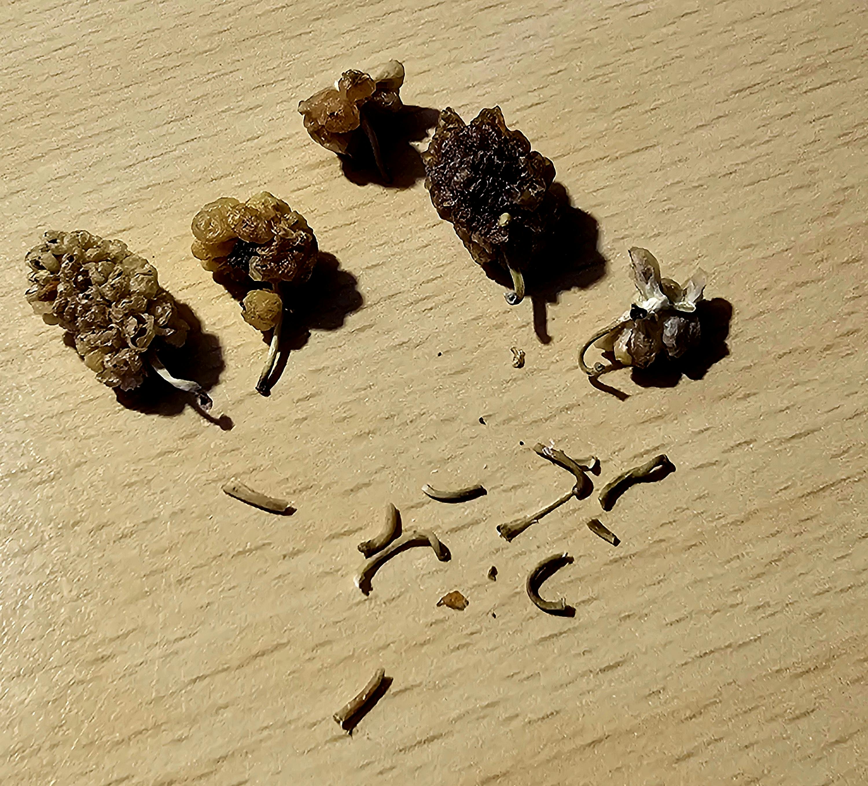 un mucchio di frutta secca è seduto su un tavolo di legno