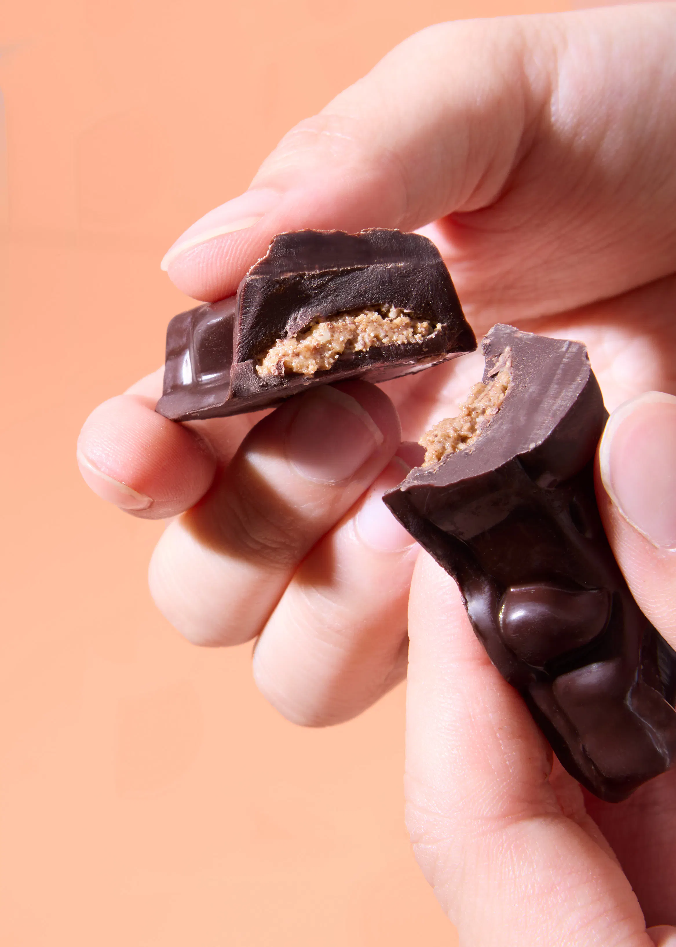 Dark chocolate with gingerbread filling | 23g