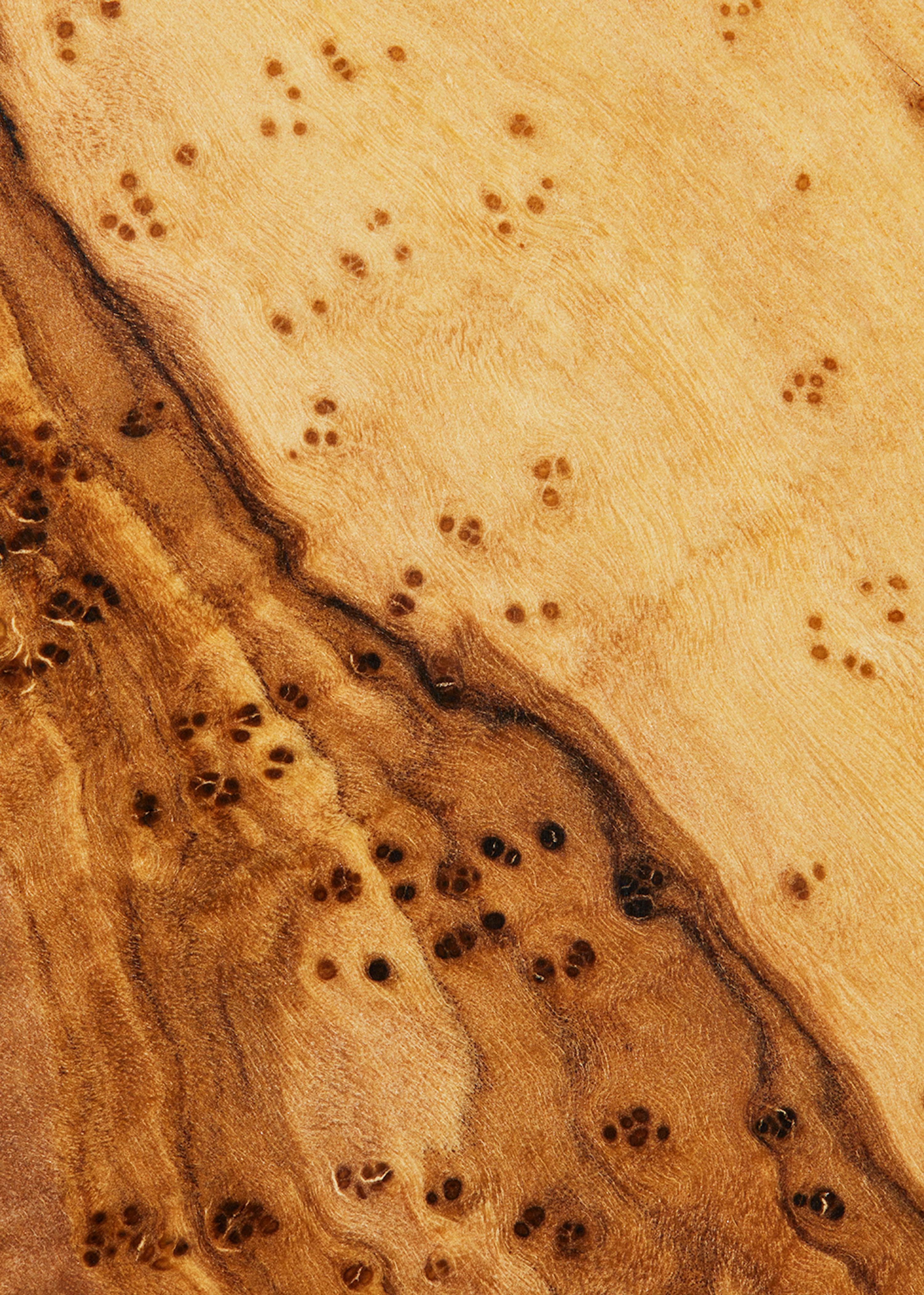 a close up of a piece of wood with spots on it