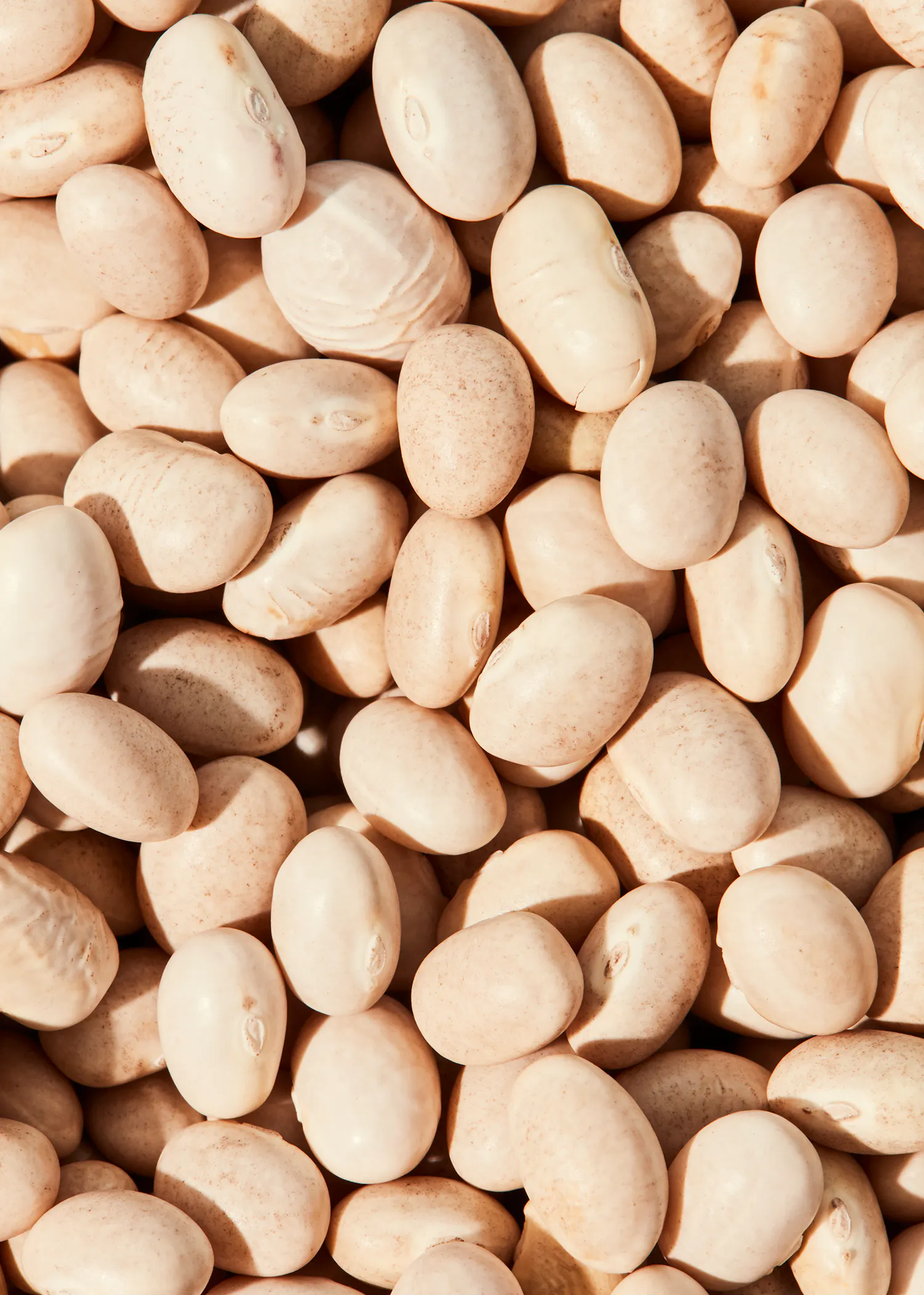 a pile of white beans with a small hole in the middle